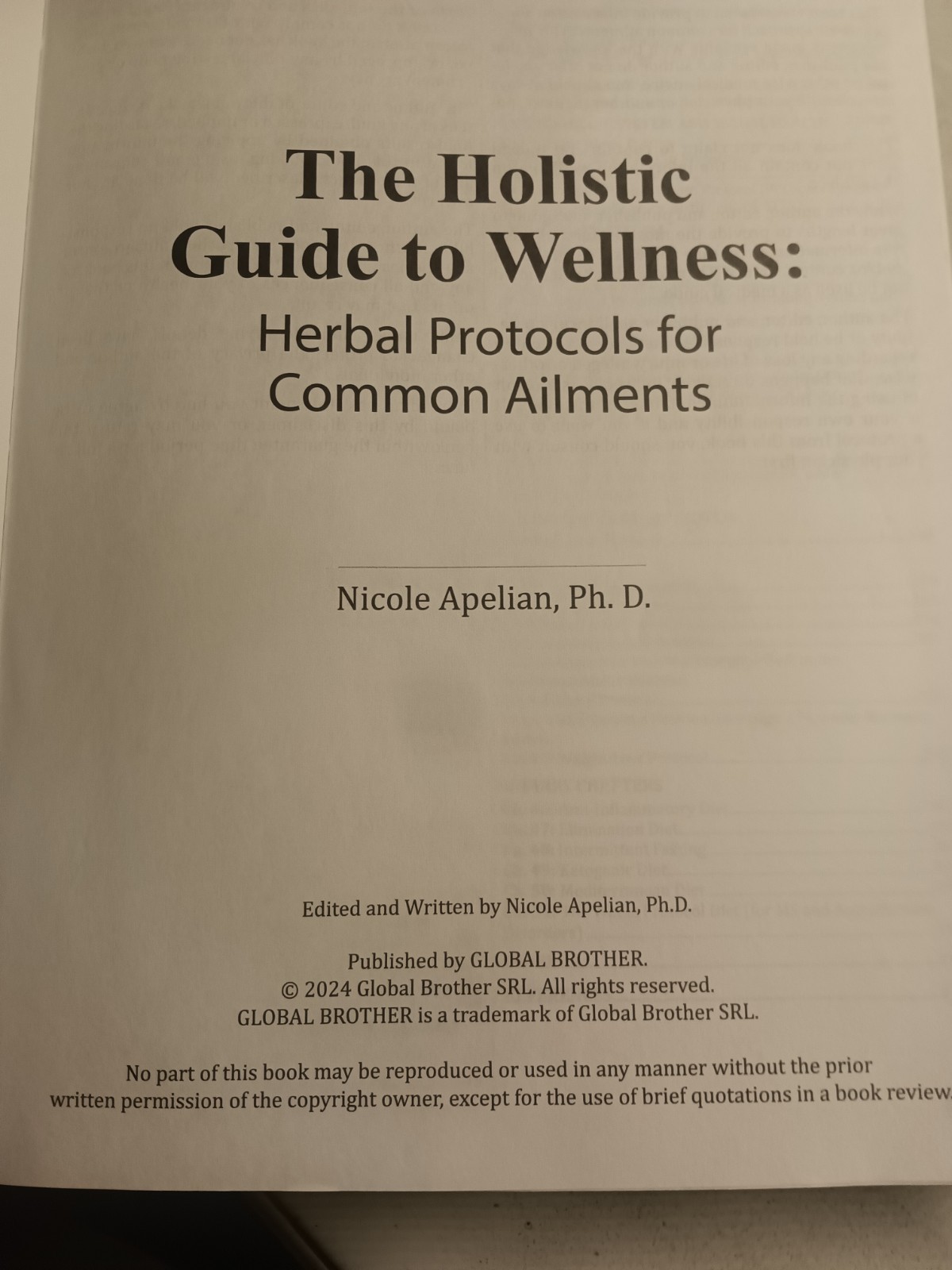 The Holistic Guide to Wellness : Herbal Protocols for Common Ailments Paperback