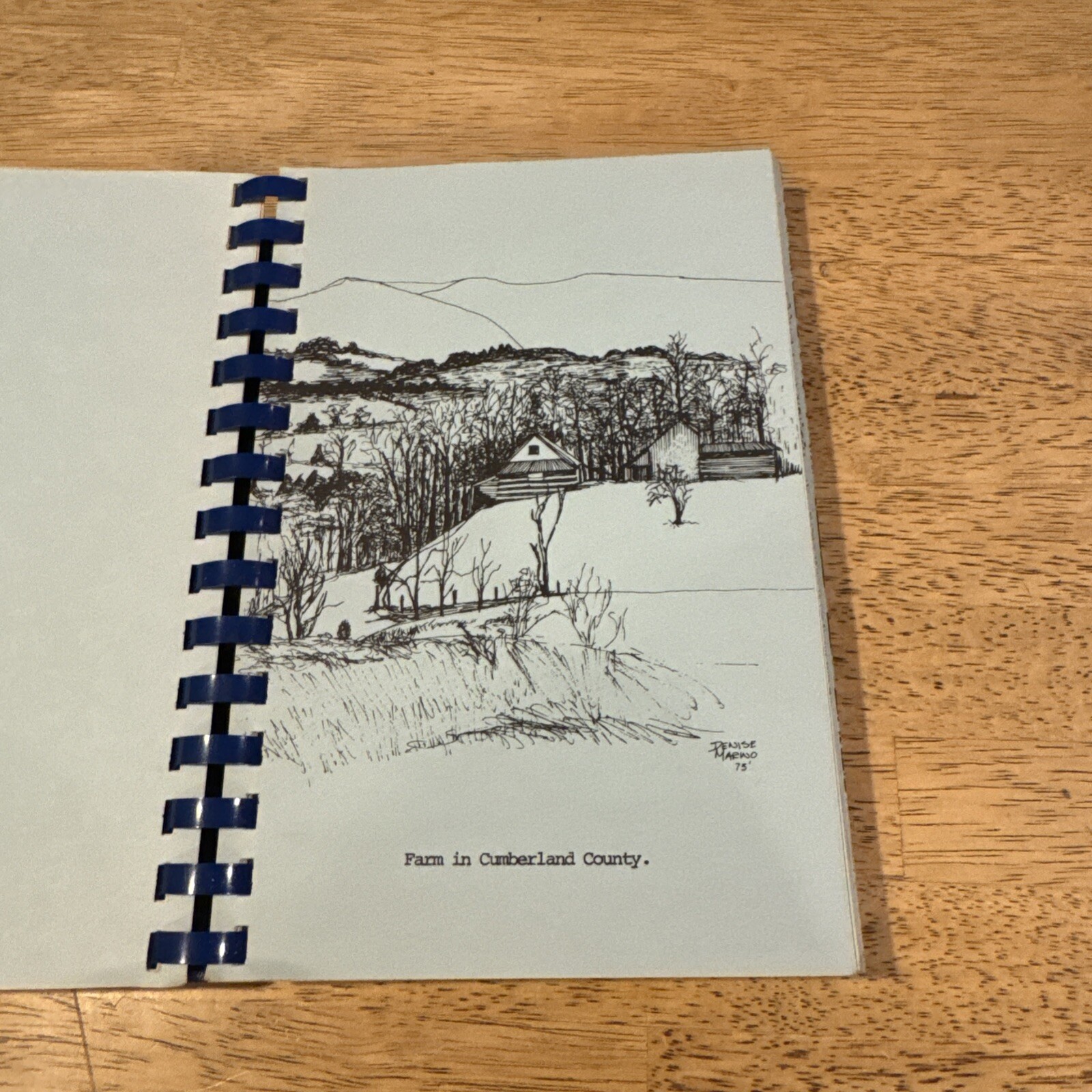 Carlisle Heritage ‘76 Cookbook A Bicentennial Collection 228 Pages Rare PA