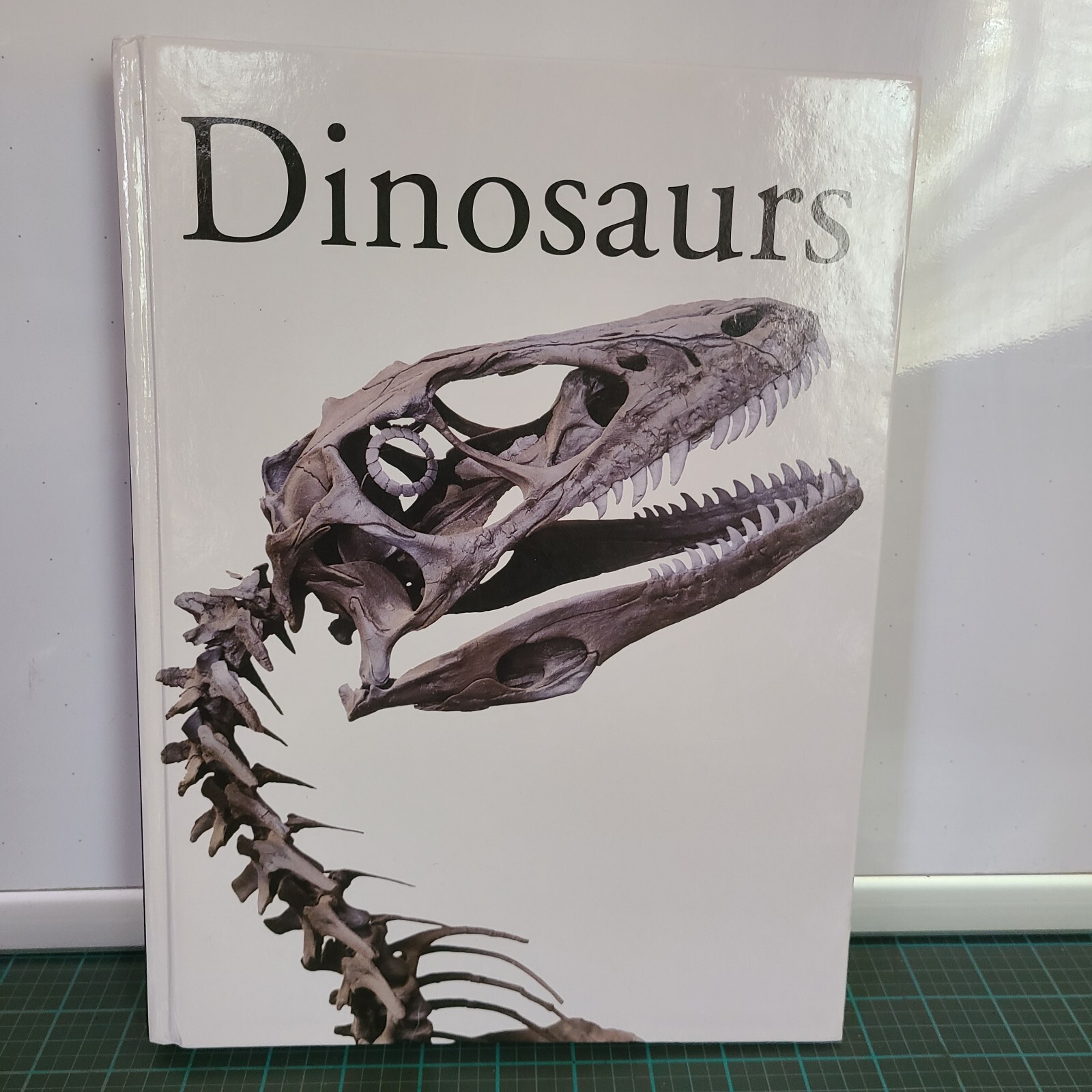 Dinosaurs & Other Prehistoric Animals Book 448 Pages Amber Books