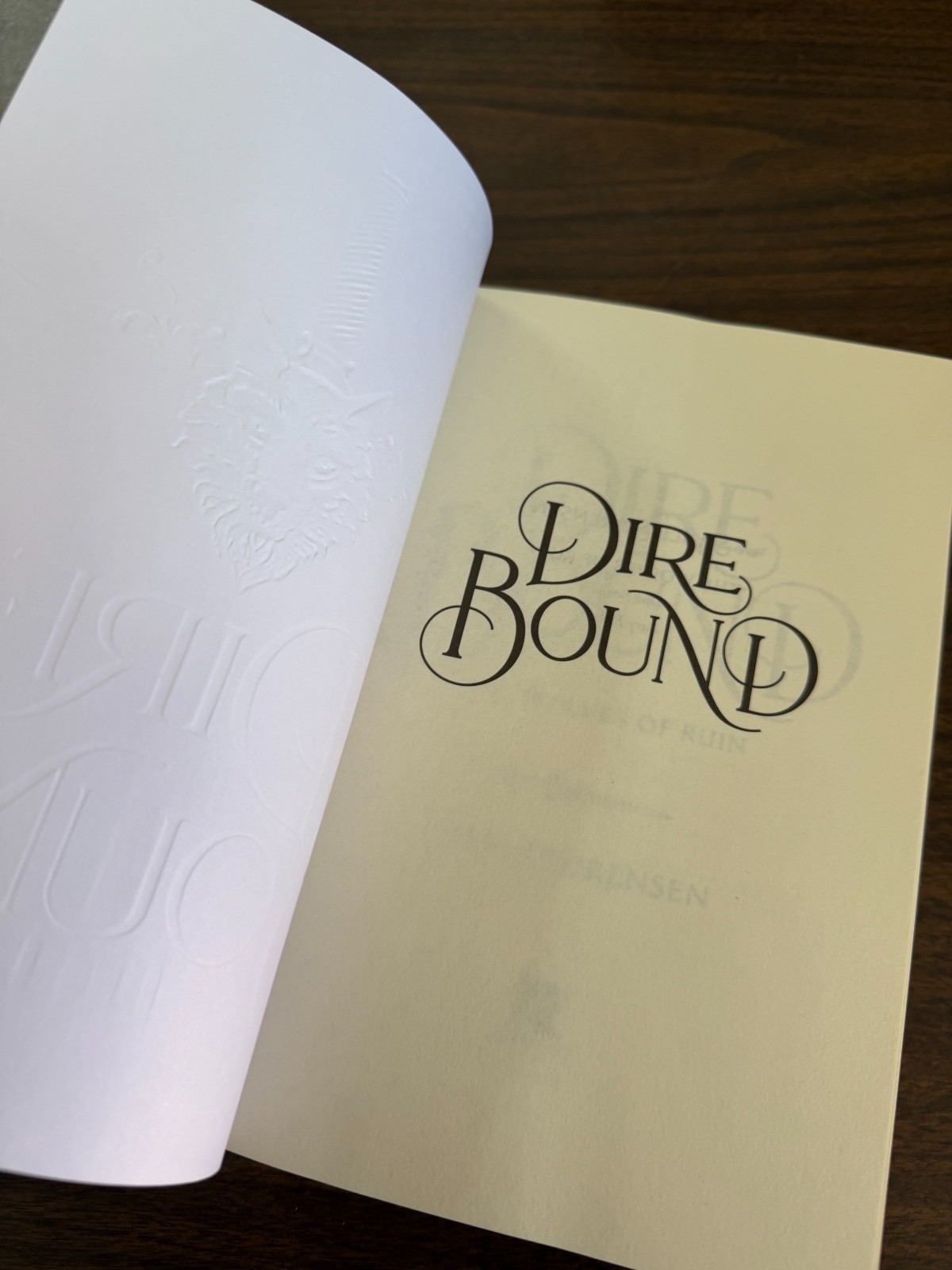 Dire Bound by Sable Sorensen (2025, Trade Paperback)