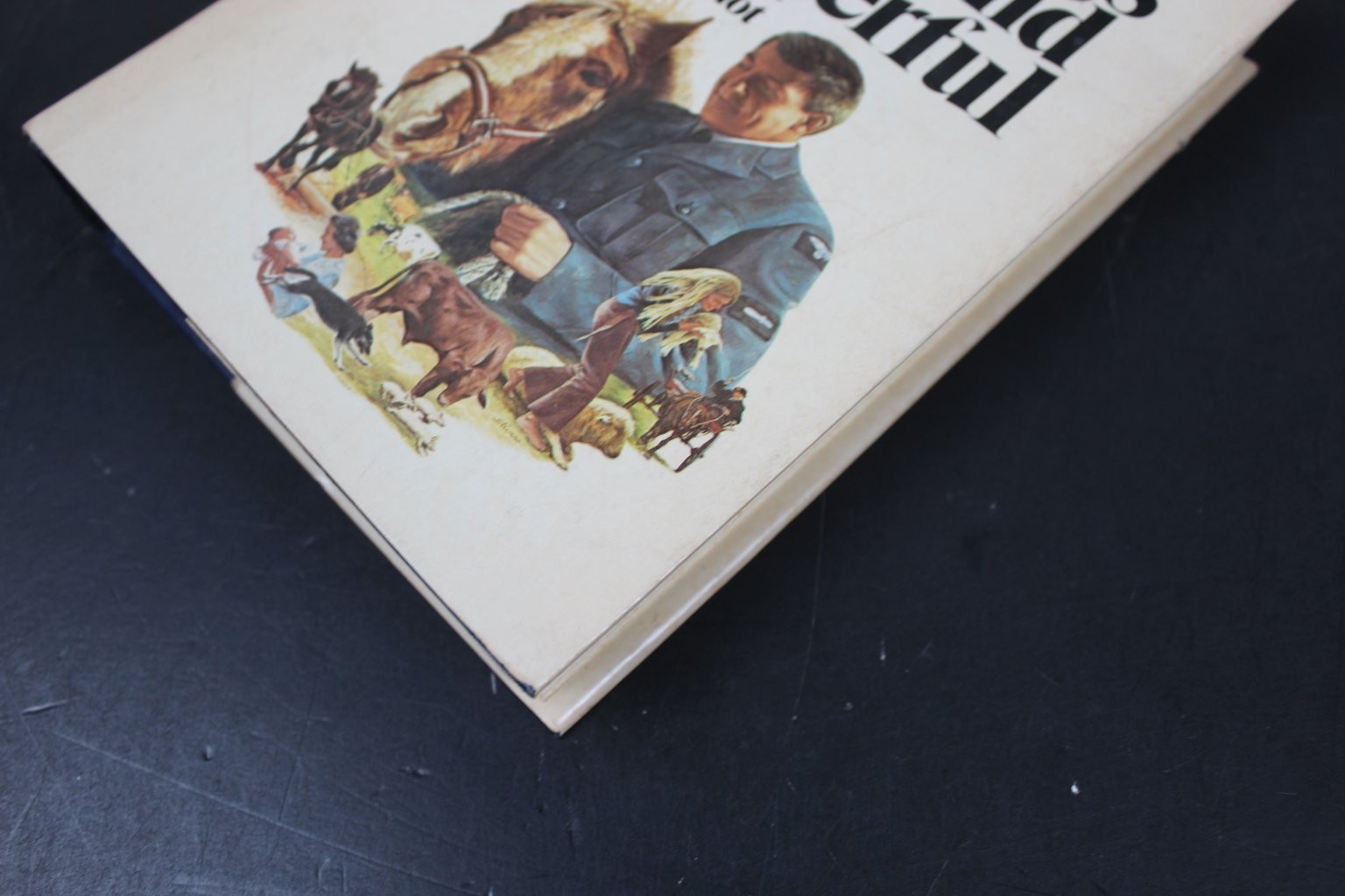 All Things Wise and Wonderful James Herriot 1977 Book Club Edition St. Martin’s