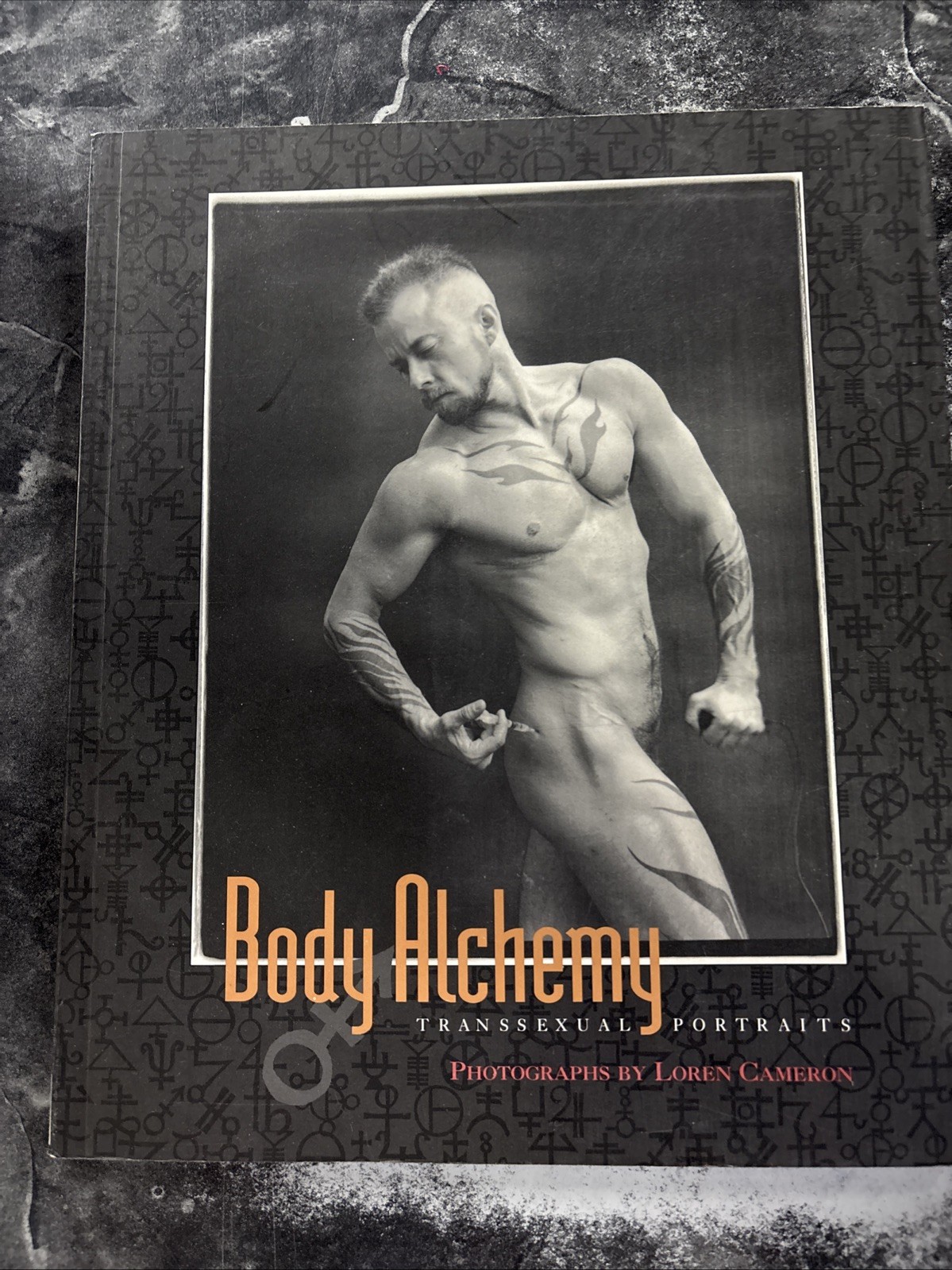 Body Alchemy : Transsexual Portraits by Loren Cameron (1996, Trade Paperback)