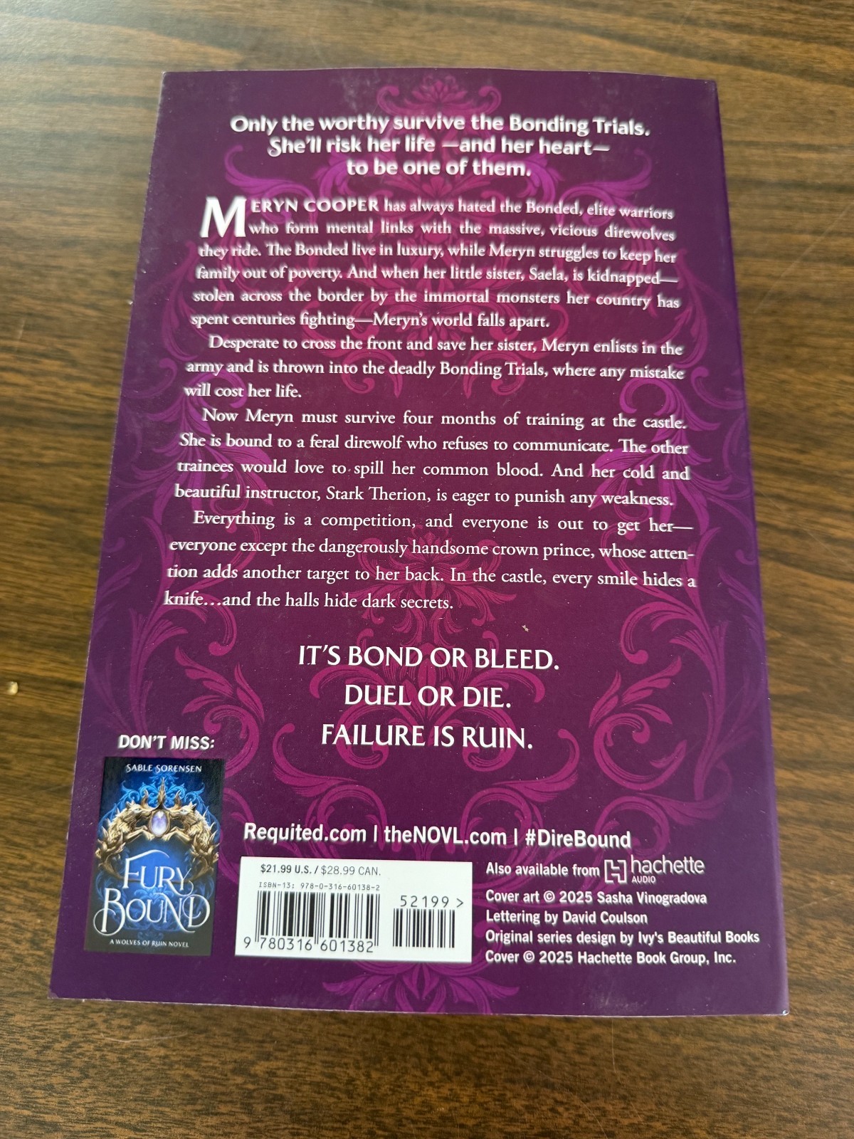 Dire Bound by Sable Sorensen (2025, Trade Paperback)