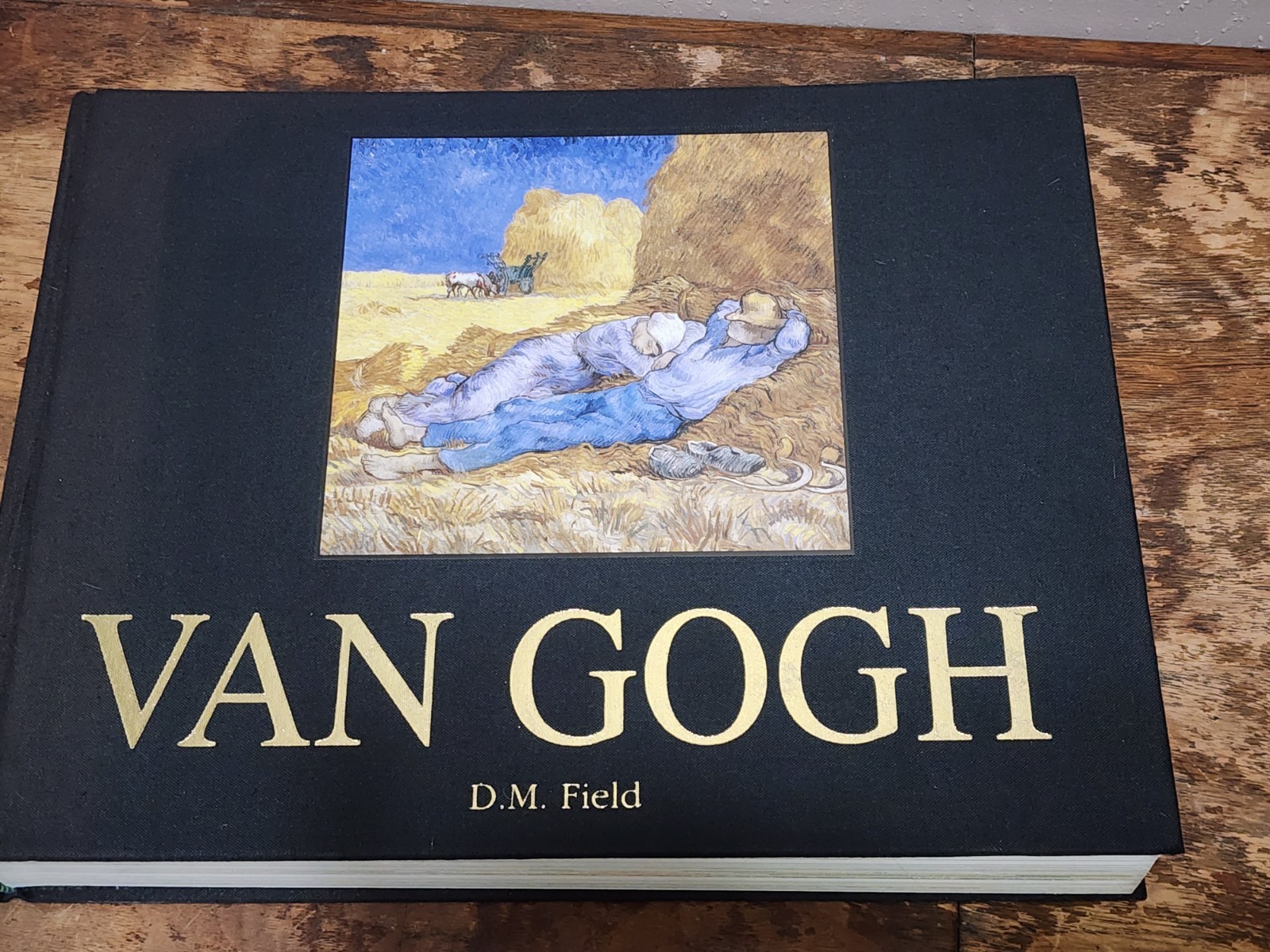 Van Gogh DM FIELD (Hardcover)