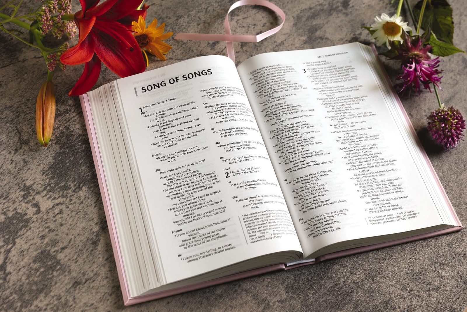 NIV, The Busy Mom’s Bible, Leathersoft over Board, Pink, Red Letter, Comfort…