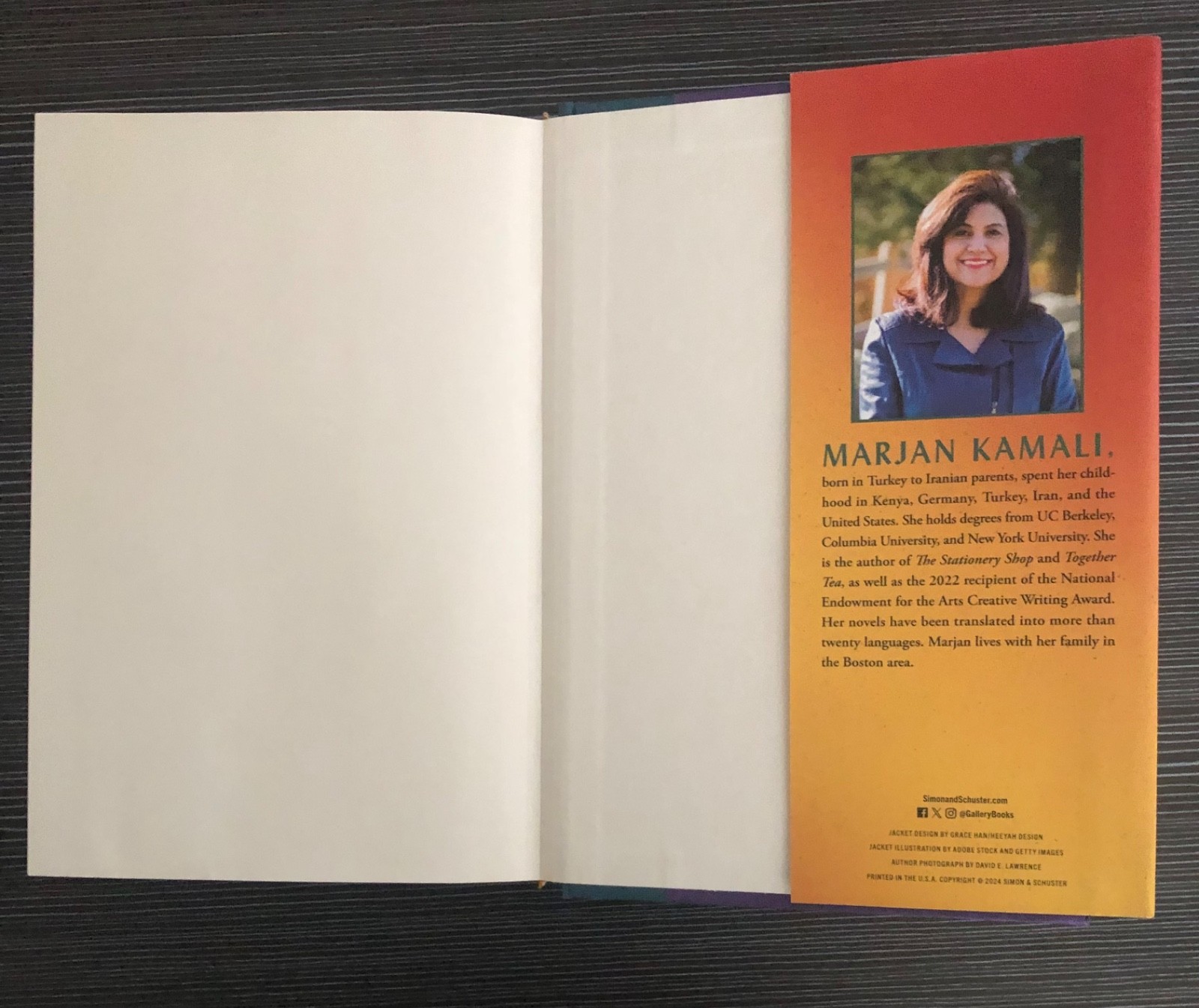 The Lion Women of Tehran