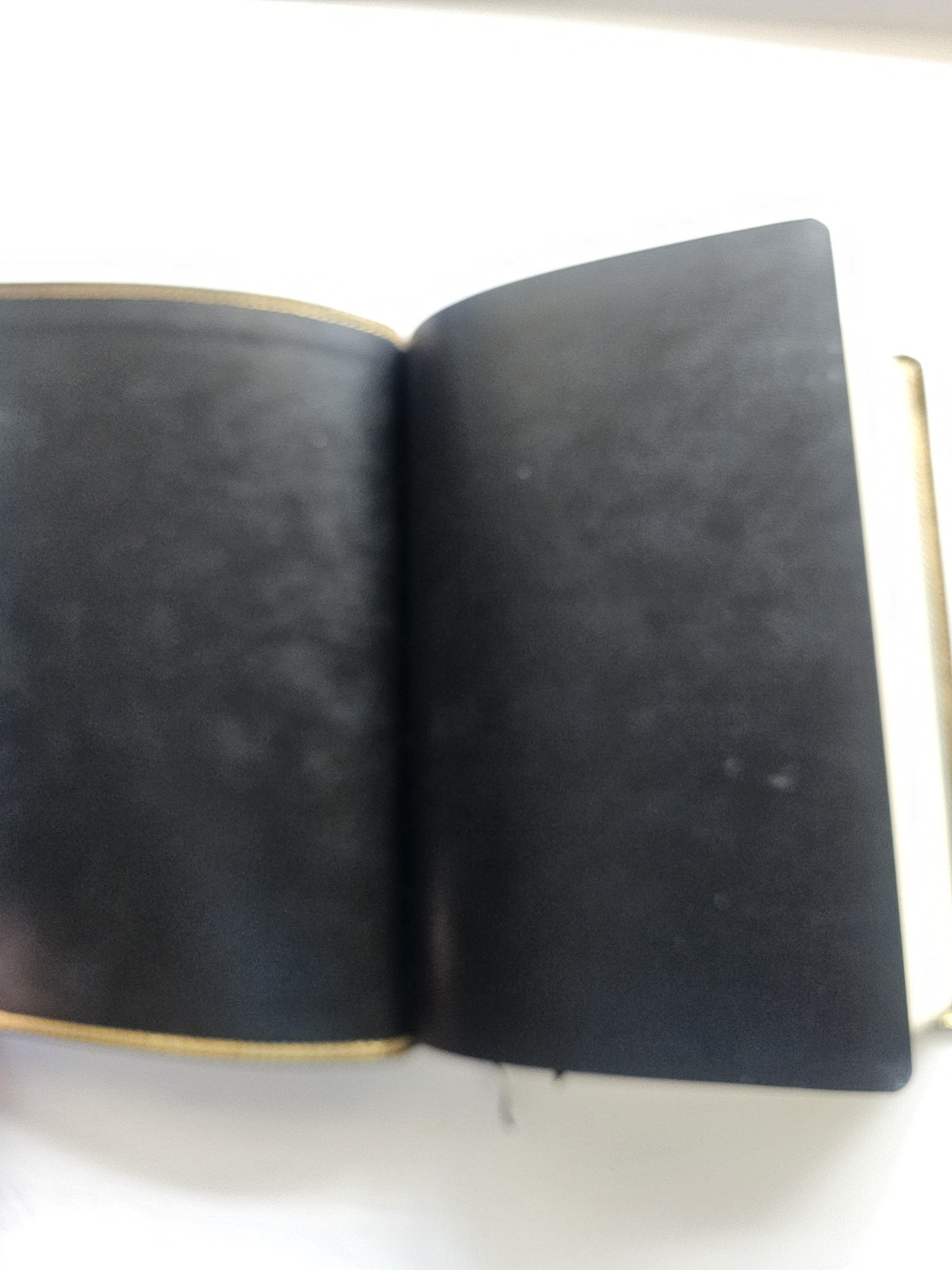 Thomas Nelson The Open Bible Genuine Leather Red Letter Edition Hardcover