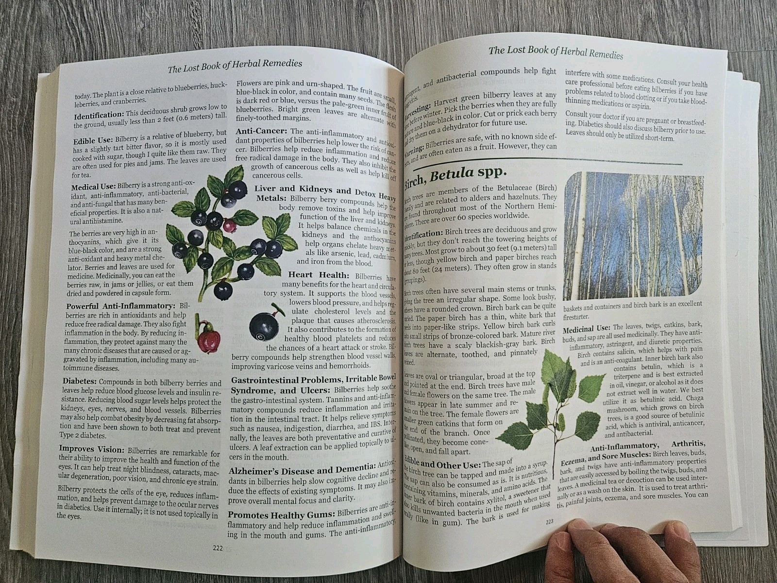 The Lost Book of Herbal Remedies – Claude Davis, Nicole Apelian Ph.D- VG