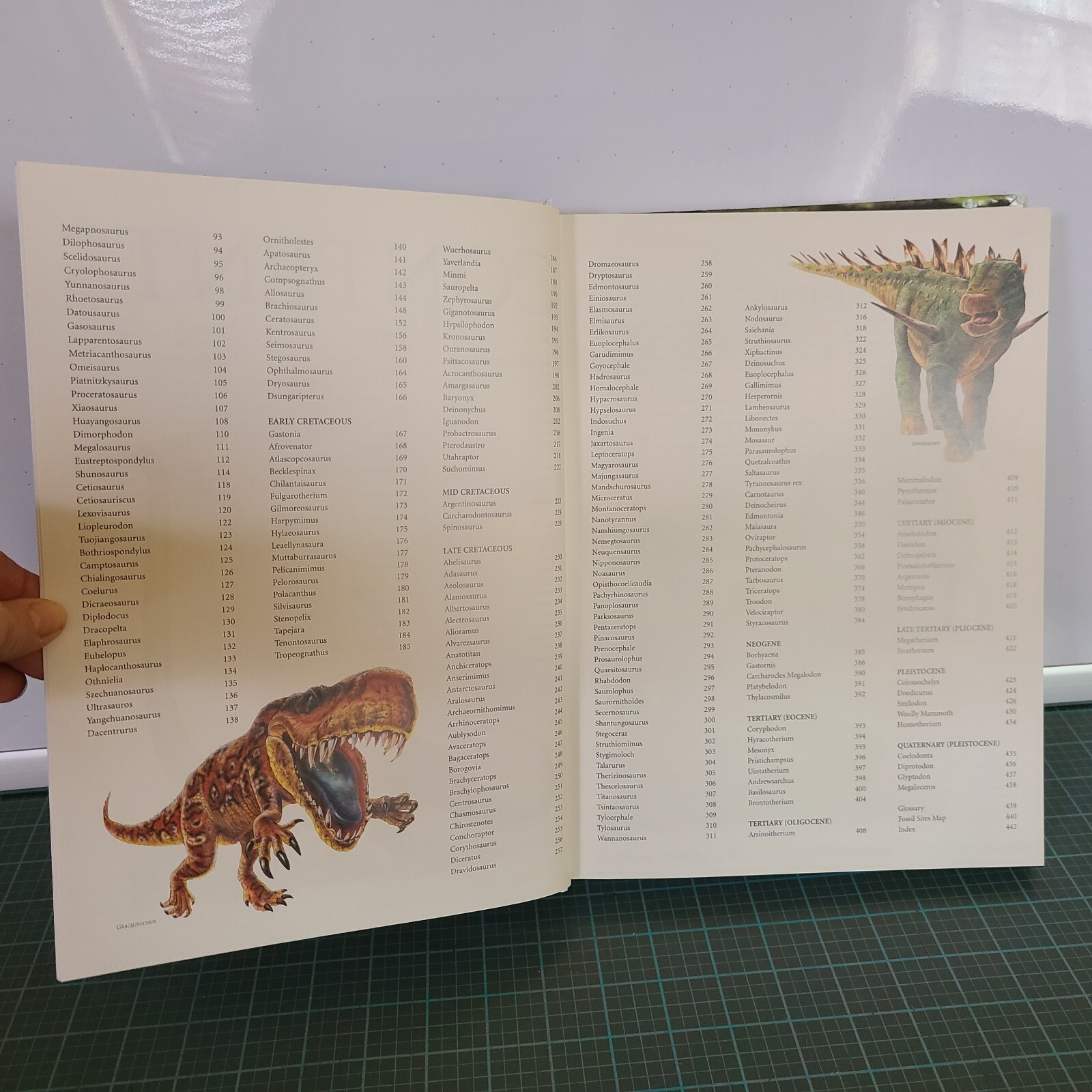 Dinosaurs & Other Prehistoric Animals Book 448 Pages Amber Books