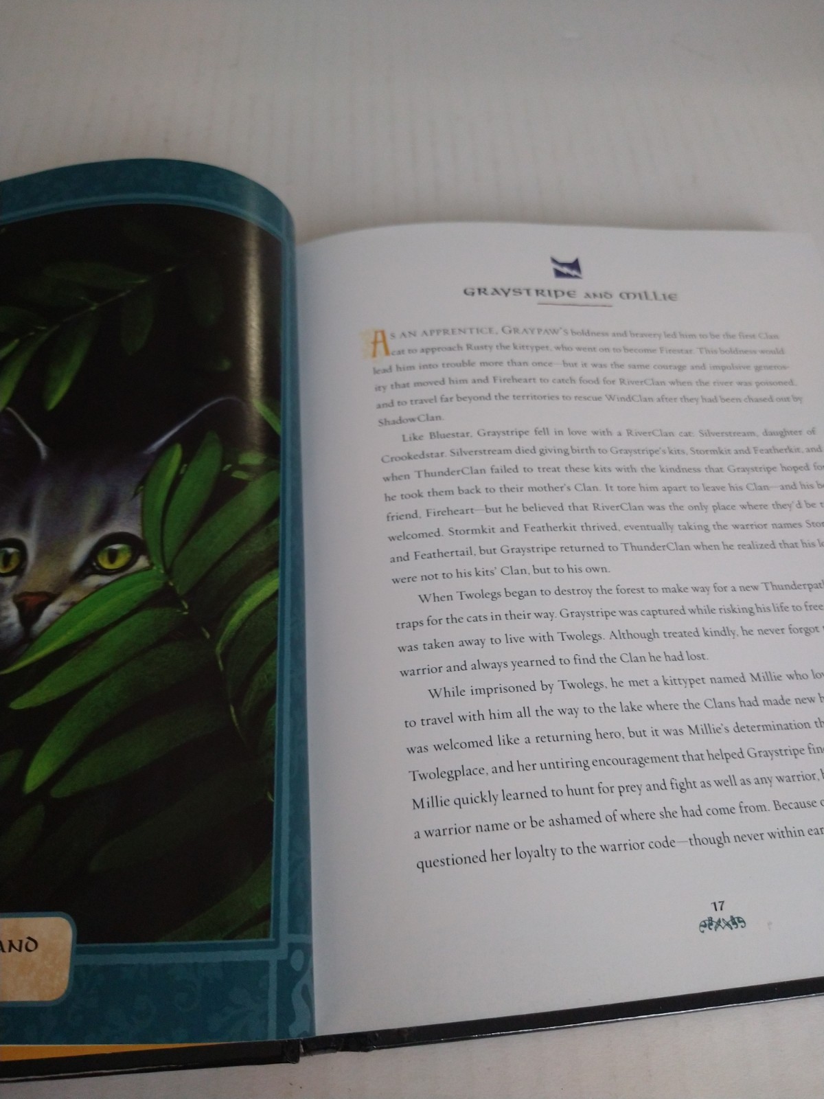 Warriors The Ultimate Guide By Erin Hunter Hardback 221 Pages Full Color Art