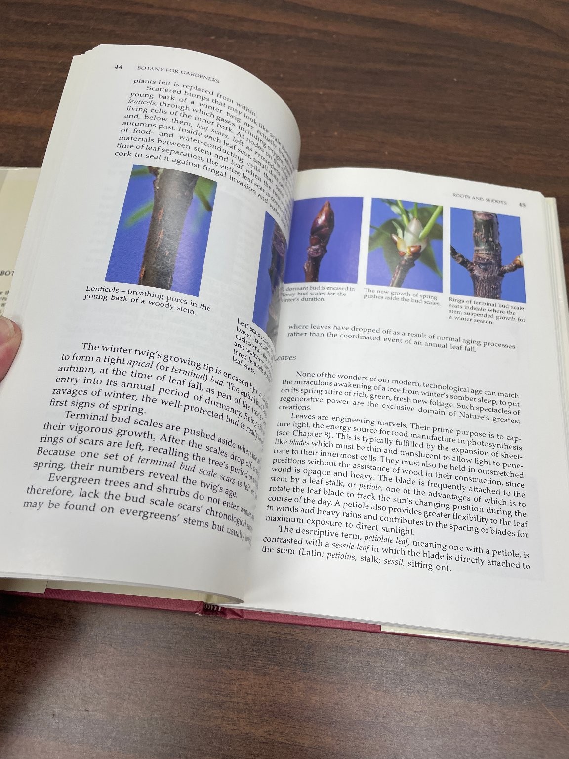 Botany for Gardeners Brian Capon 1990 2nd Printing Illustrated Timber Press