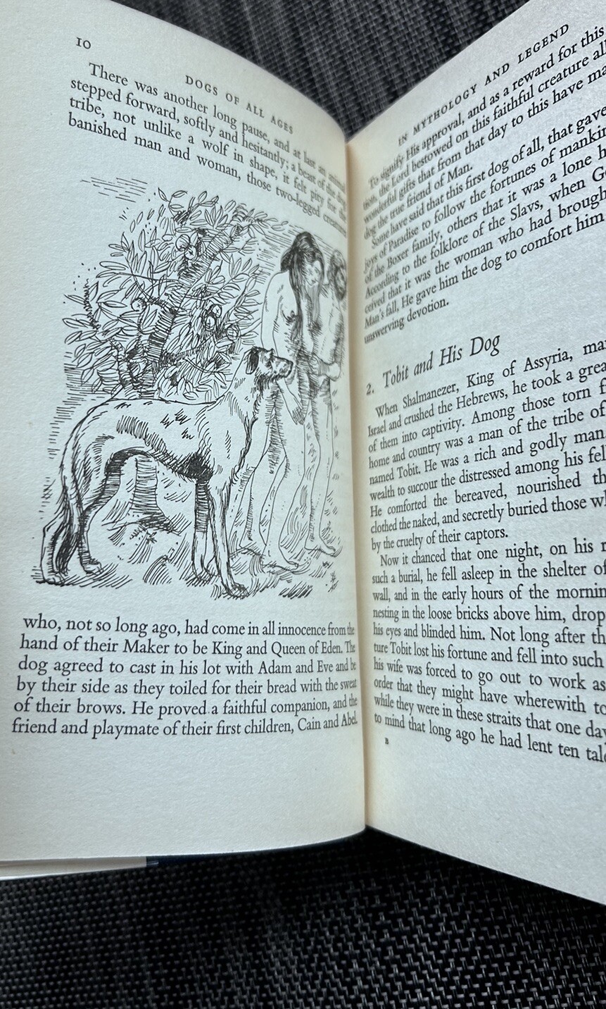 Dogs Of All Ages Elian J Finbert Cassell and Co 1956 Dust Jacket 1st Ed First