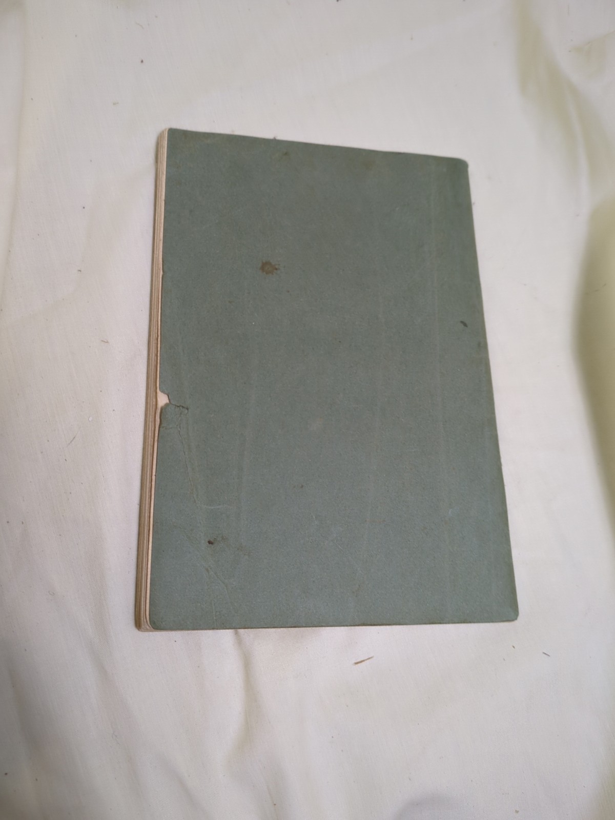 1924 German Immigrant Guide Book DAR Taschenbuch Vereinigten Staaten