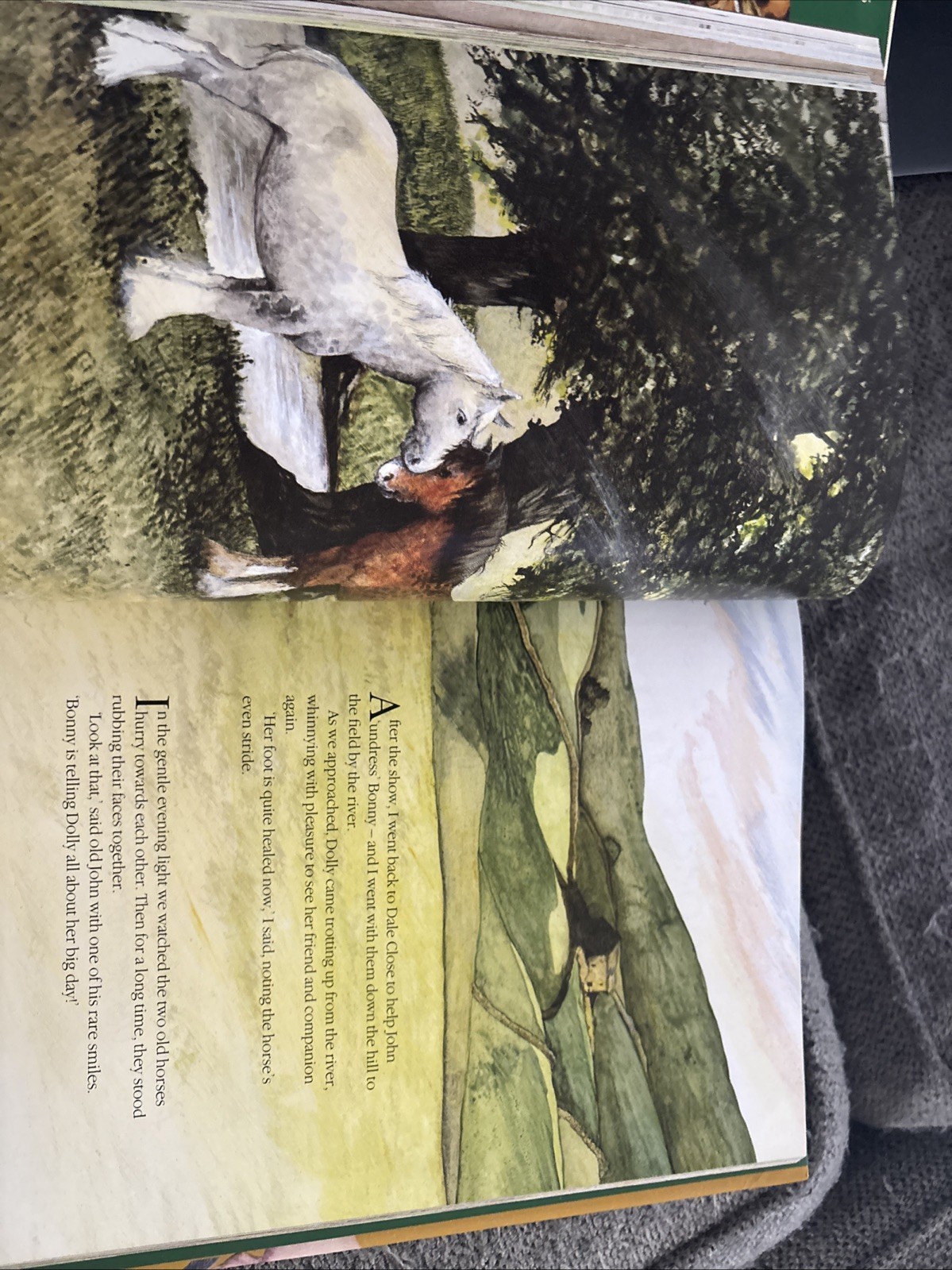 James Herriot’s Treasury for Children : Warm and Joyful Tales by the Author…