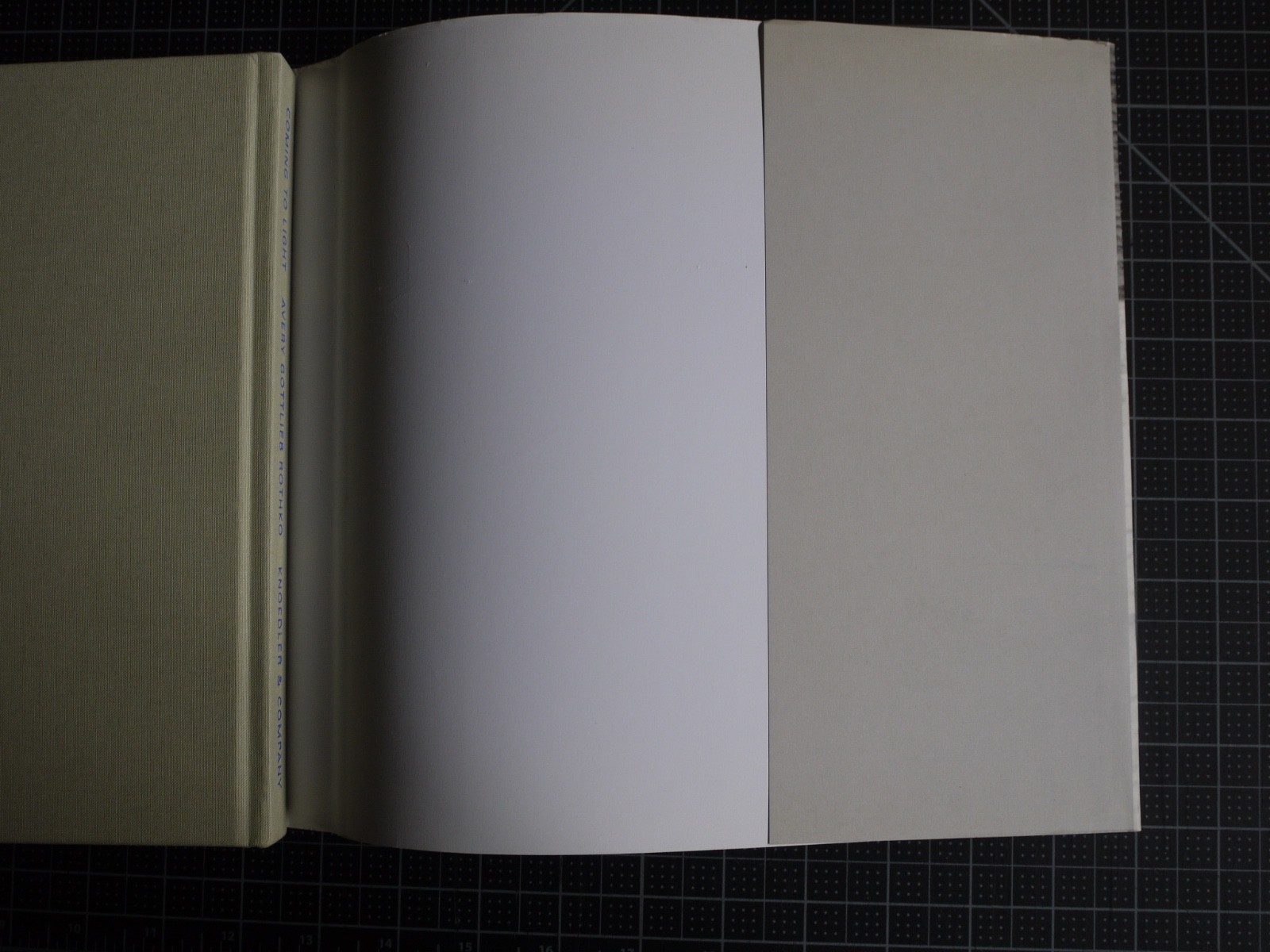 Coming to Light: Avery Gottlieb Rothko: Provincetown Summers 1957-1961 by Avery