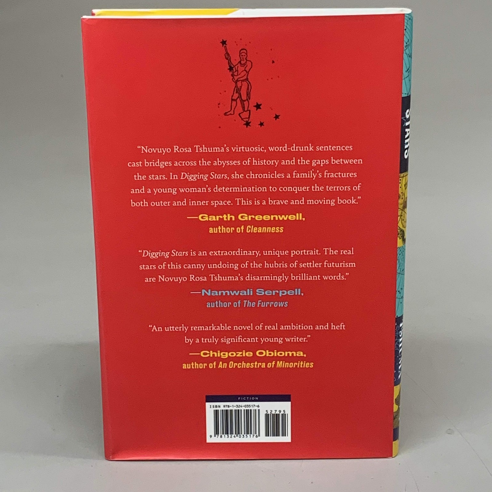 NORTON Novuyo Rosa Tshuma Digging Starts 288 Pages