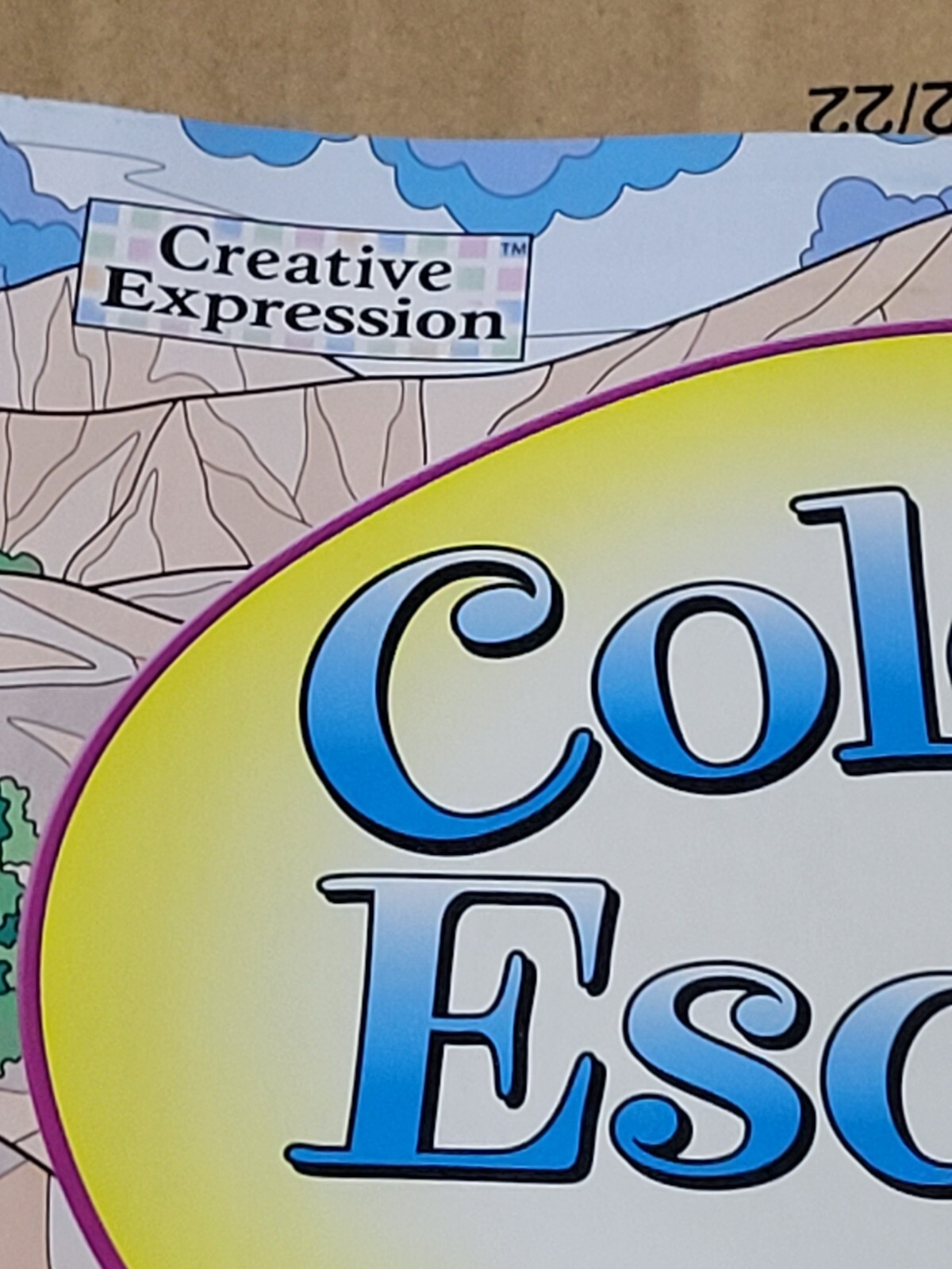 COLORFUL ESCAPES -A Bouquet of Color! Vol. 24 – Adult Coloring Book- 47 Pages