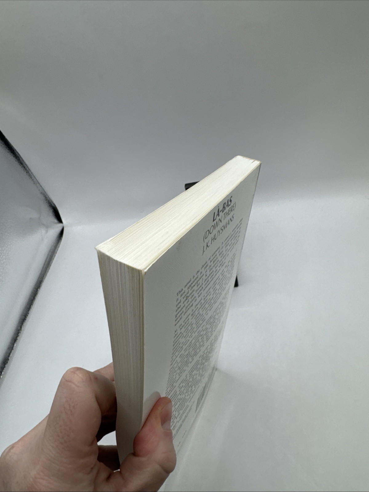 Bas (Down There) by Joris K. Huysmans (2011, Trade Paperback) MV