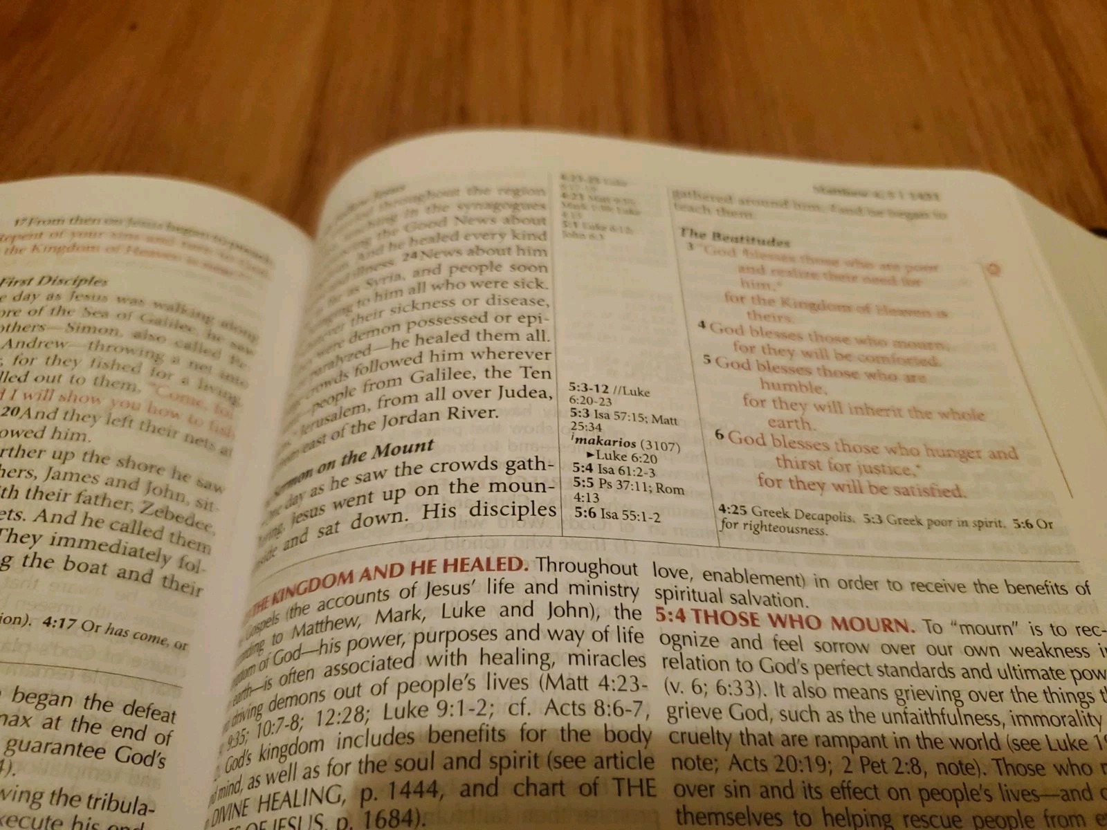 FIRE BIBLE New Living Translation Chi Alpha Edition Leather Soft Cover