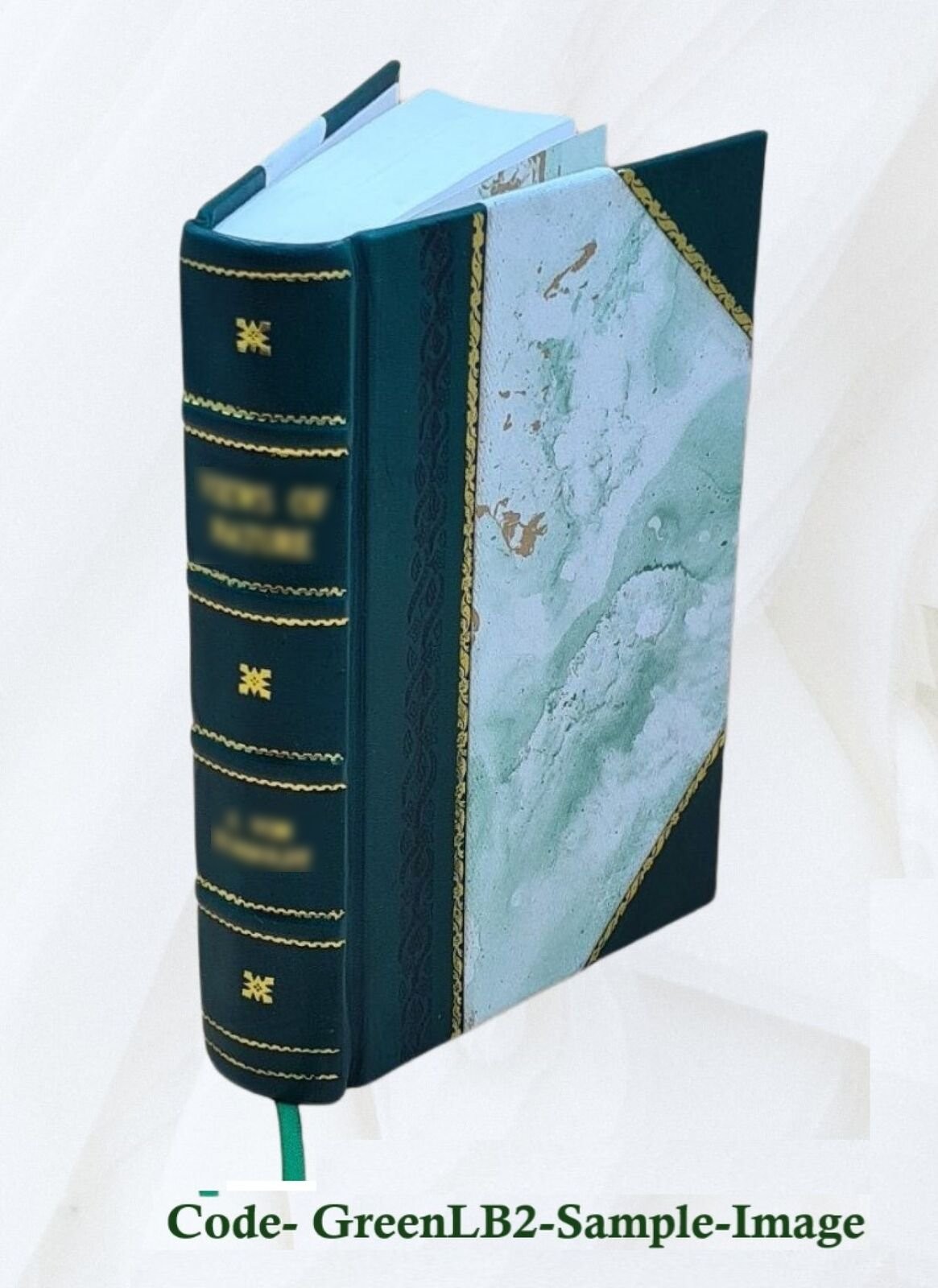 Will Therapy And Truth And Reality 1945 By Otto Rank [Leather Bound]