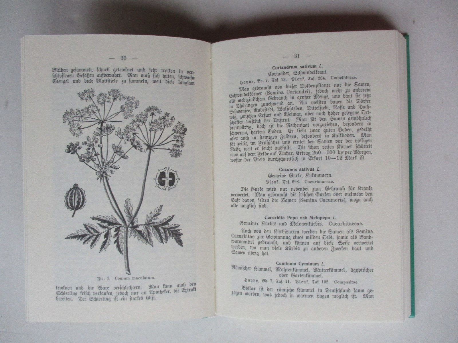 Der Abothekergarten, Hermann Jäger, Reprint-Verlag-Leipzig, Gebundene Ausgabe