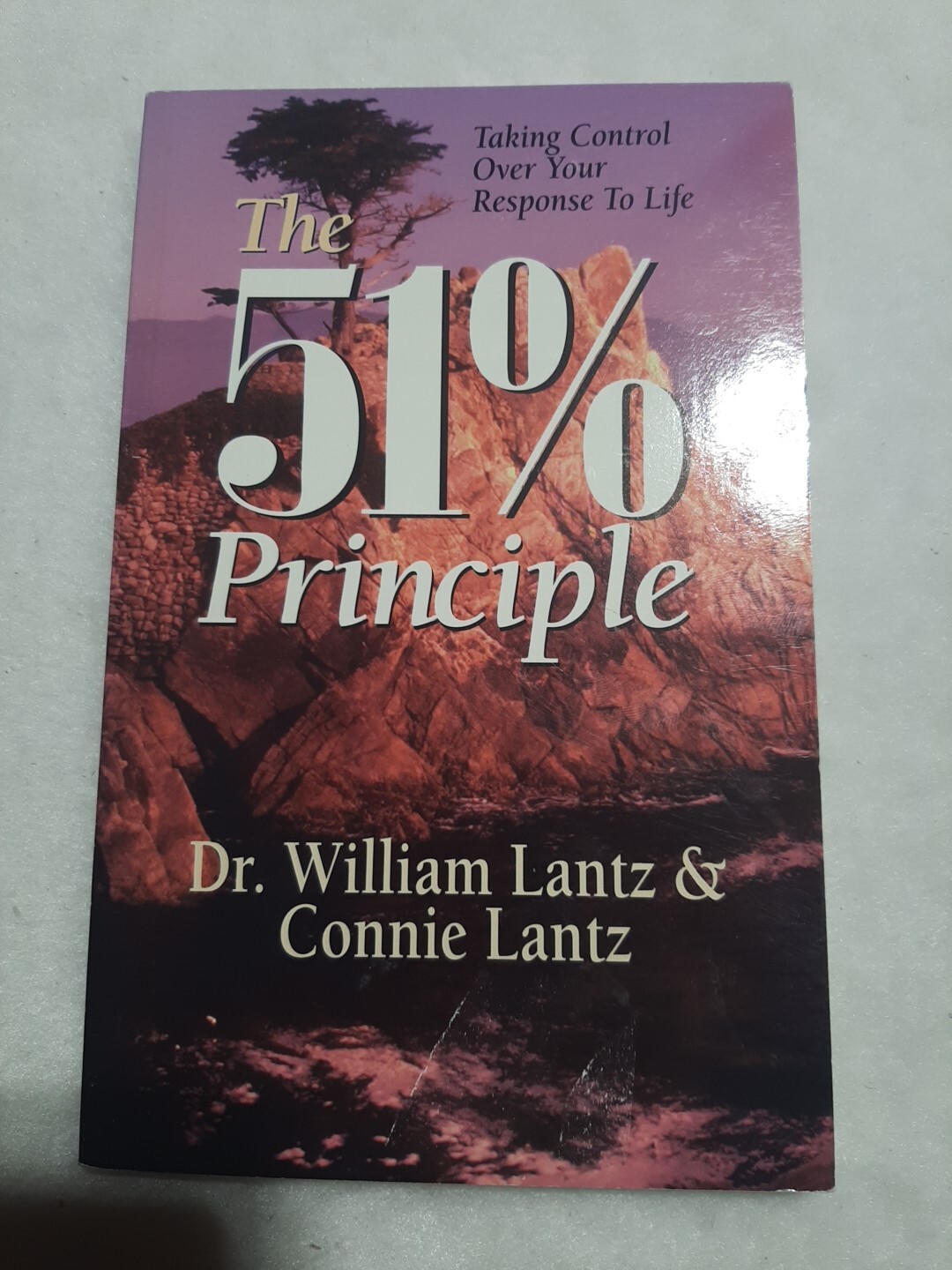 51% Principle by Connie Lantz and William Lantz (1995, Trade Paperback)