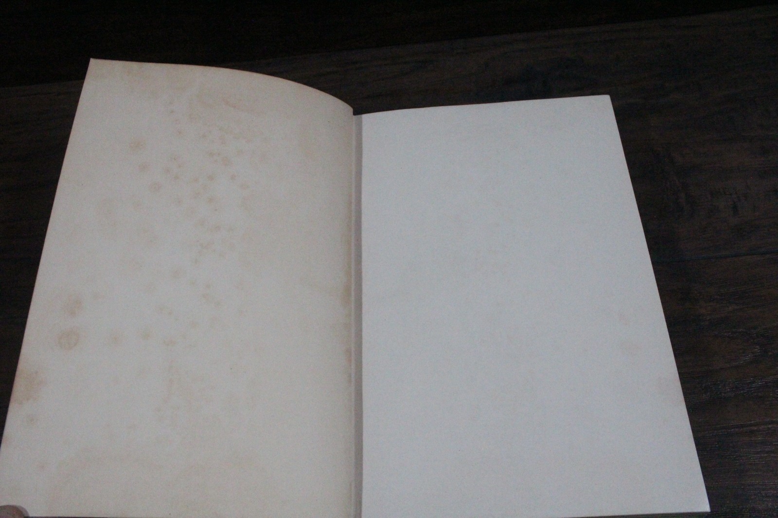 1920s The Twelve Dancing Princesses & other Fairy Tales by Arthur Quiller-Couch
