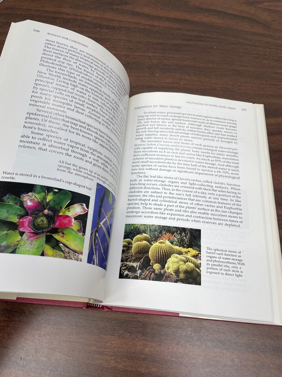 Botany for Gardeners Brian Capon 1990 2nd Printing Illustrated Timber Press