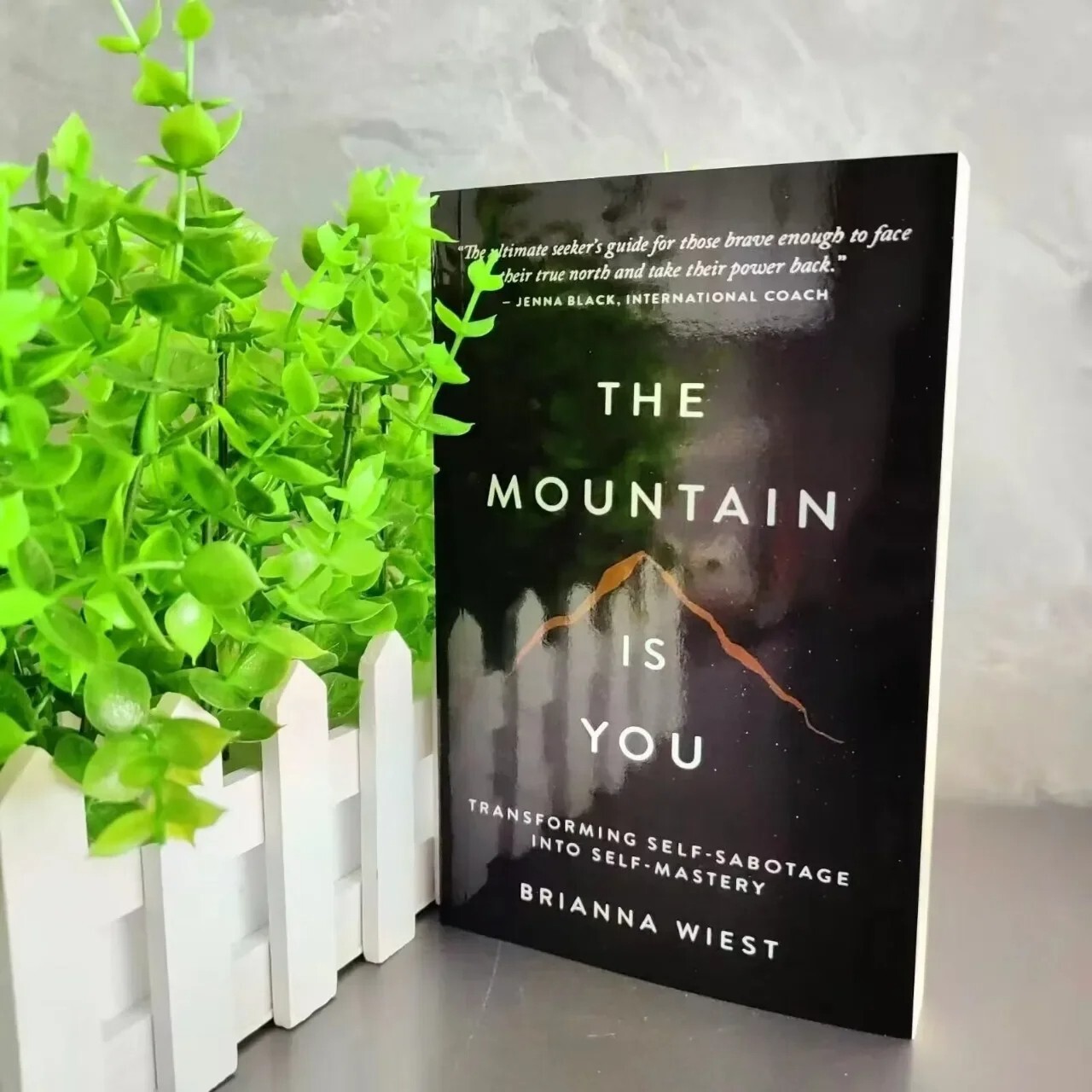 The Mountain is You By Brianna Wiest USA Stock Premium Quality Free Shipping