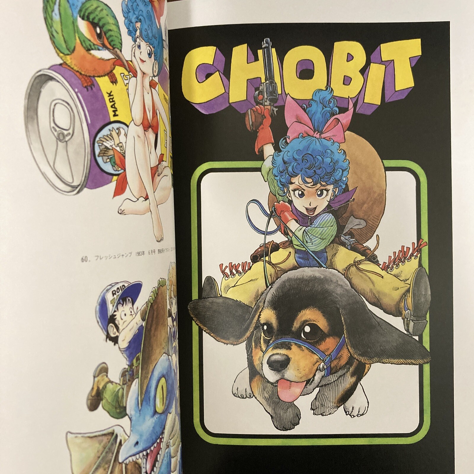 Akira Toriyama THE WORLD SPECIAL Art Book Illustration