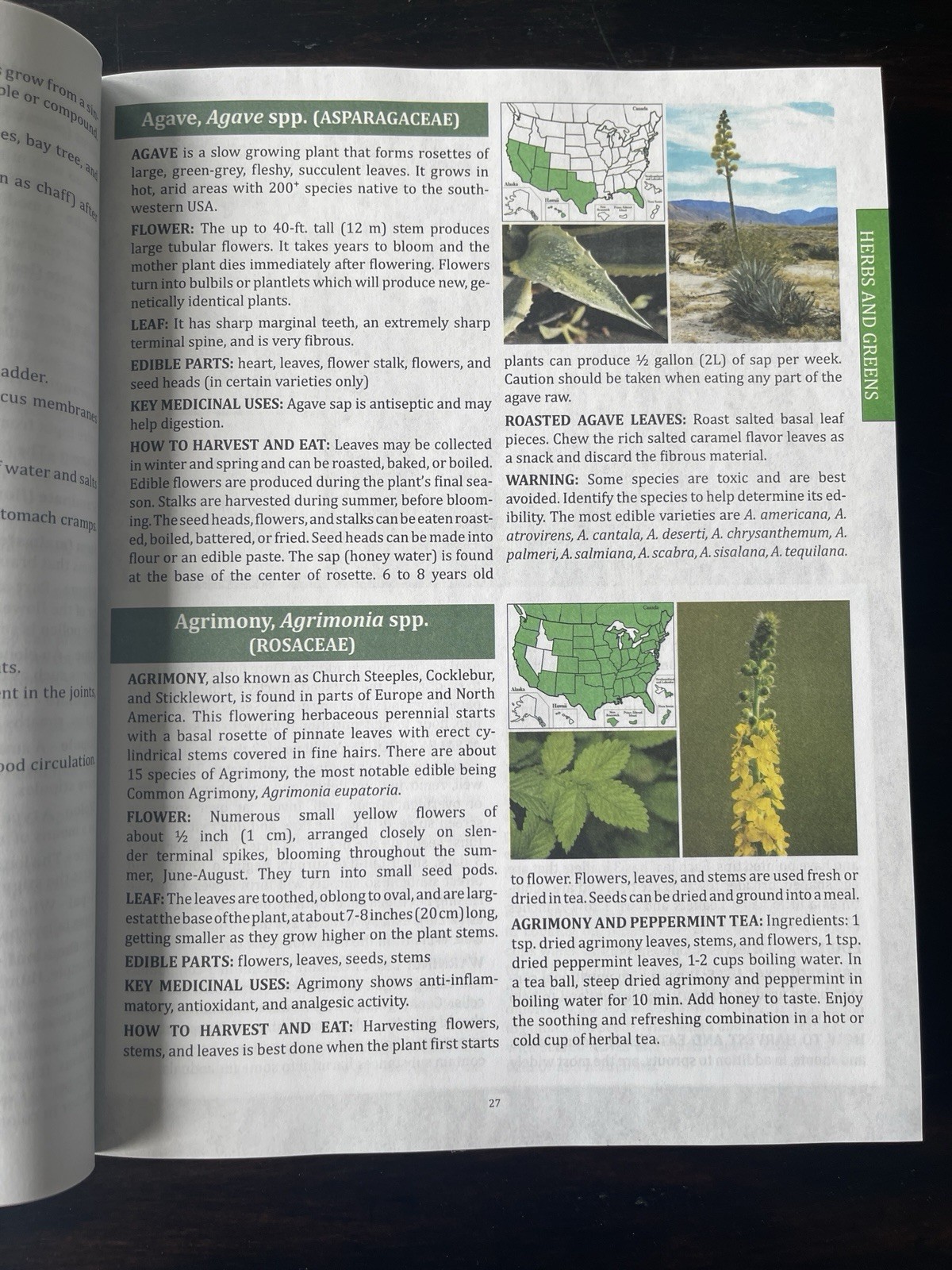The Forager’s Guide to Wild Foods North American Edition by Nicole Apelian