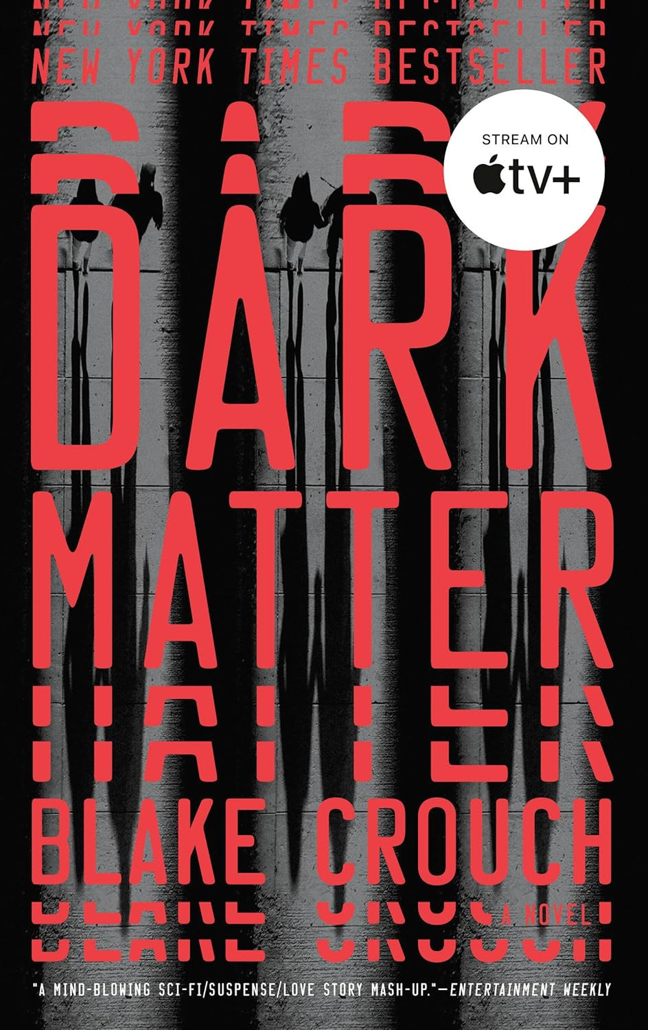 Dark Matter: a Novel