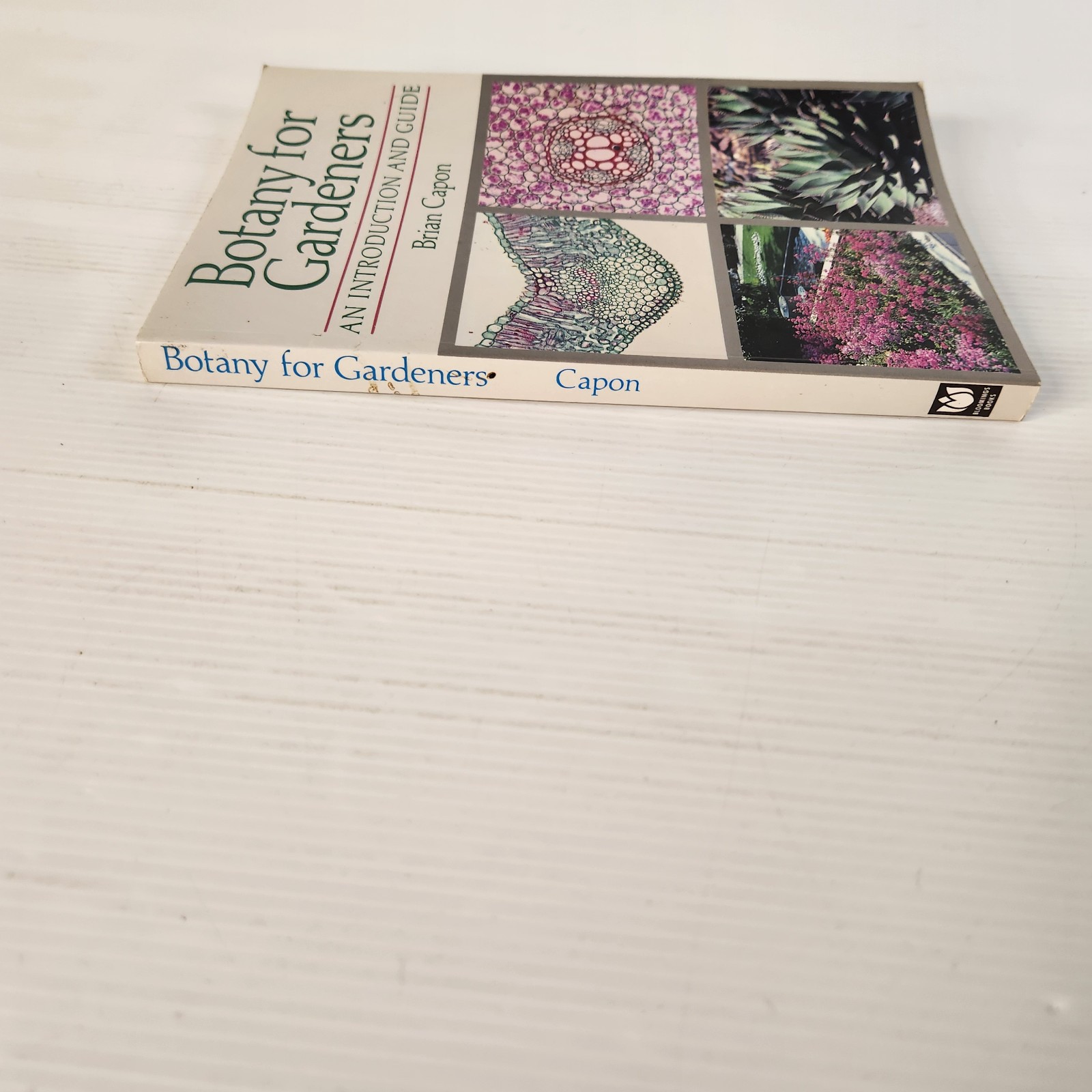 Botany for Gardeners by Brian Capon Paperback