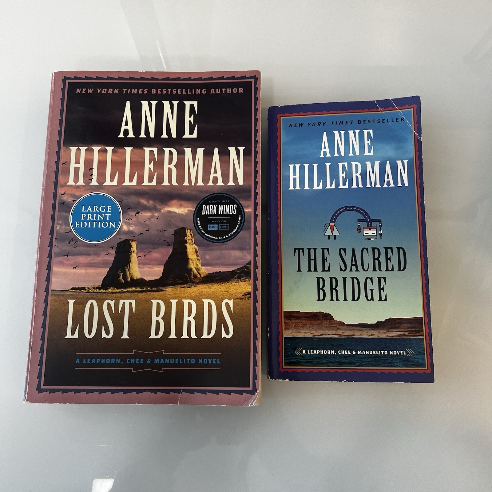 Lot of 12 Mystery Paperbacks by Tony Hillerman, Anne Hillerman