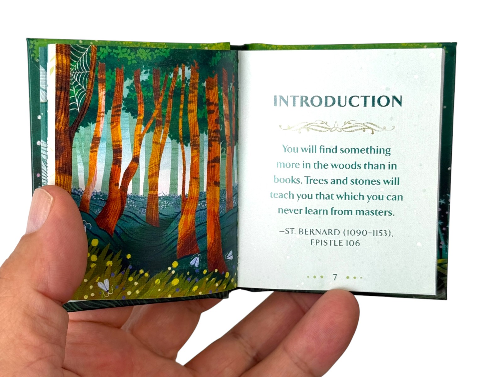 Celtic Astrology mini book hardcover 144 pgs illustrated wisdom tree calendar