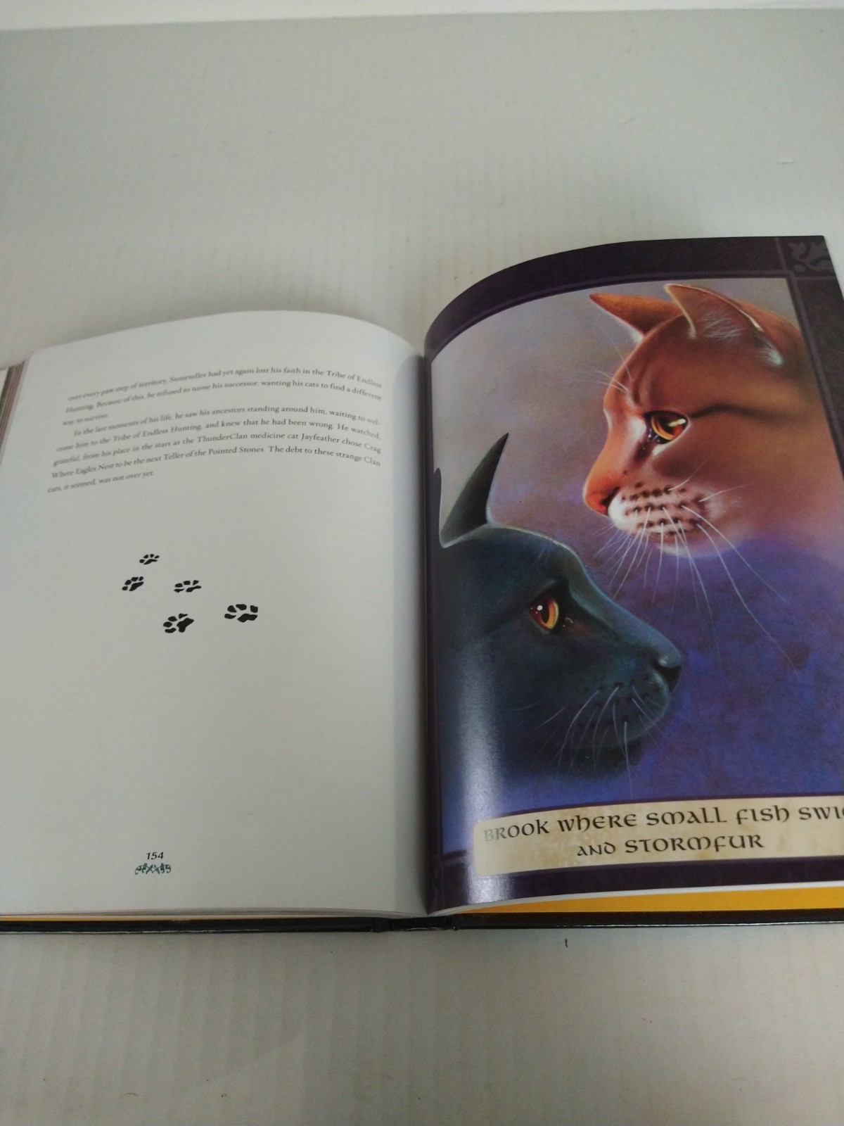 Warriors The Ultimate Guide By Erin Hunter Hardback 221 Pages Full Color Art