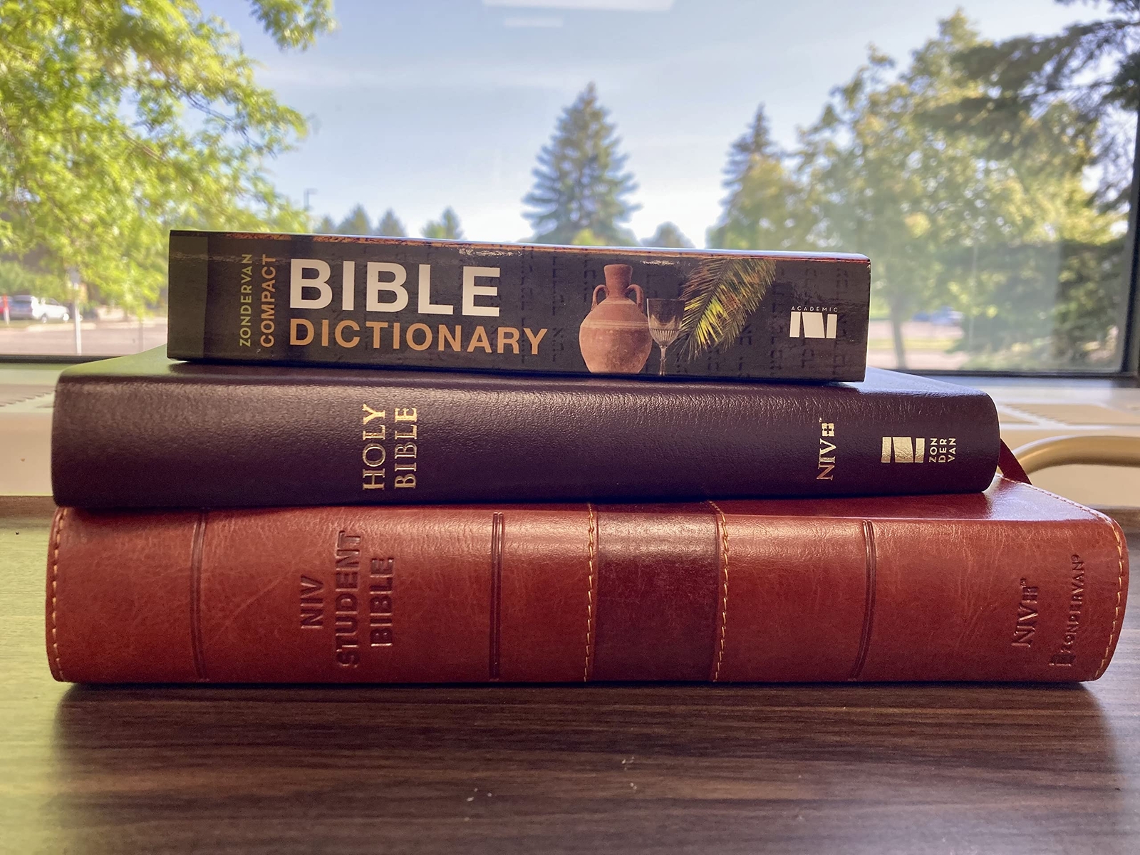 Zondervan’S Compact Bible Dictionary