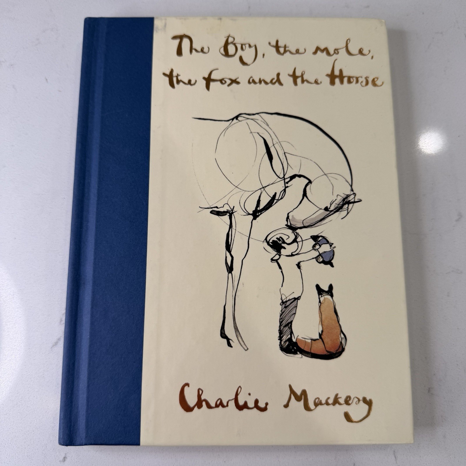 The Boy, the Mole, the Fox and the Horse Illustrated Hardcover Charlie Mackesy