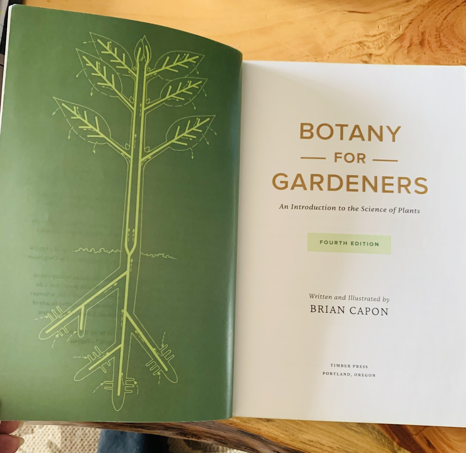 Botany for Gardeners Fourth Edition Brian Capon 2022 Timber Press Paperback