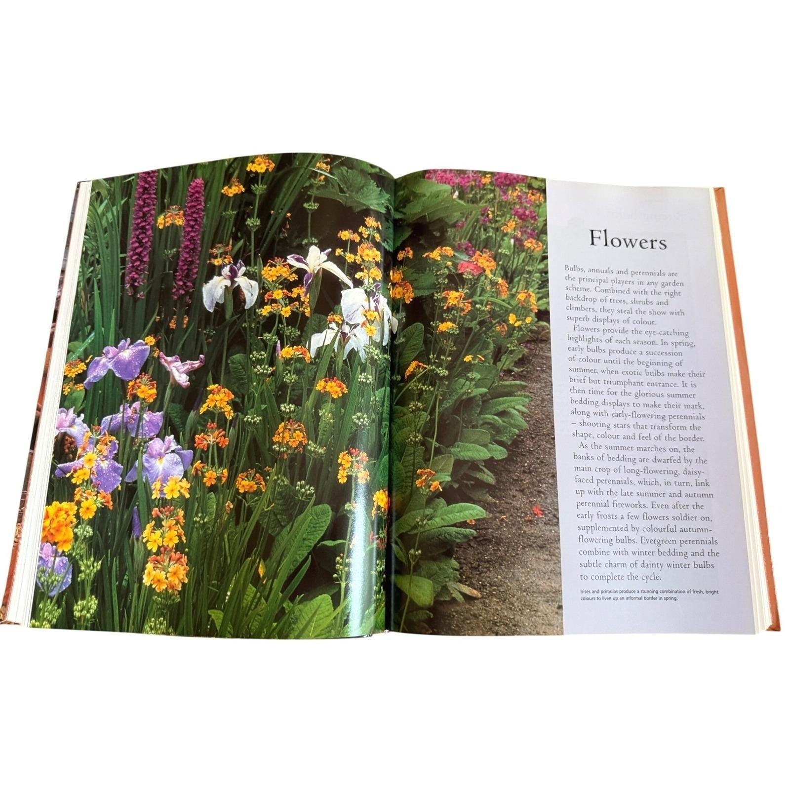 How to Garden Book Jonathan Edwards Gardening Encyclopedia Vtg 2002 Hardcover