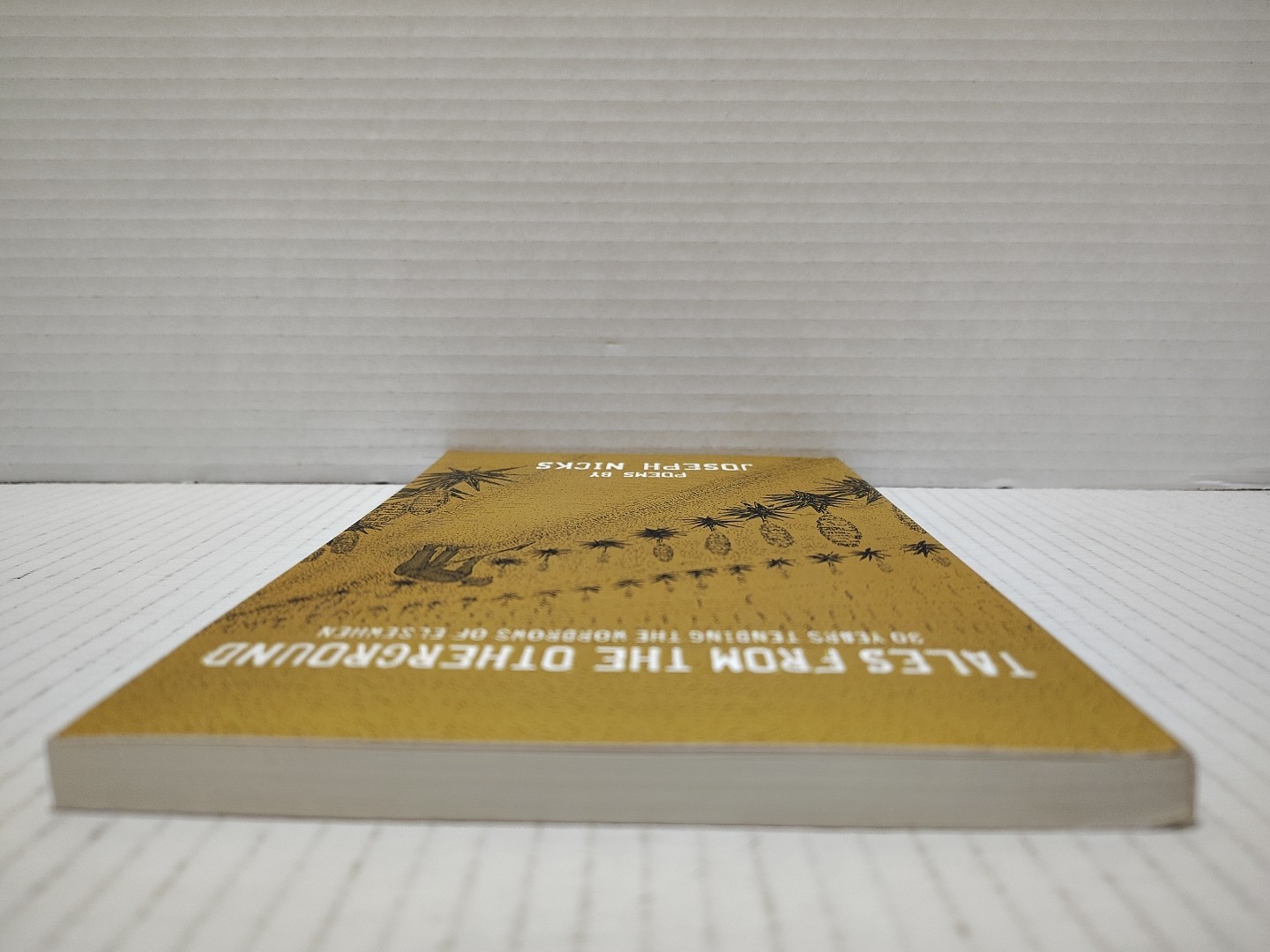 TALES FROM THE OTHERGROUND : Poems by Joseph Nicks (2014, Pb) * FREE SHIPPING *