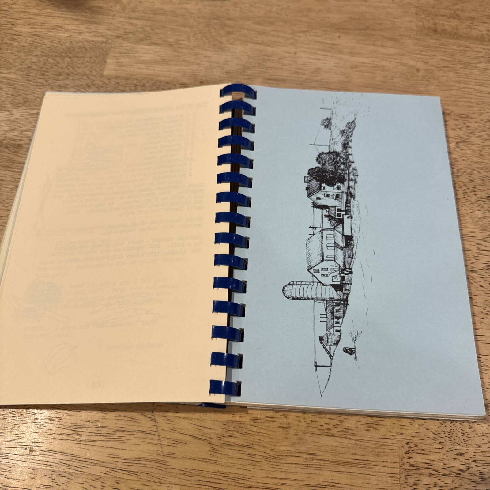 Carlisle Heritage ‘76 Cookbook A Bicentennial Collection 228 Pages Rare PA