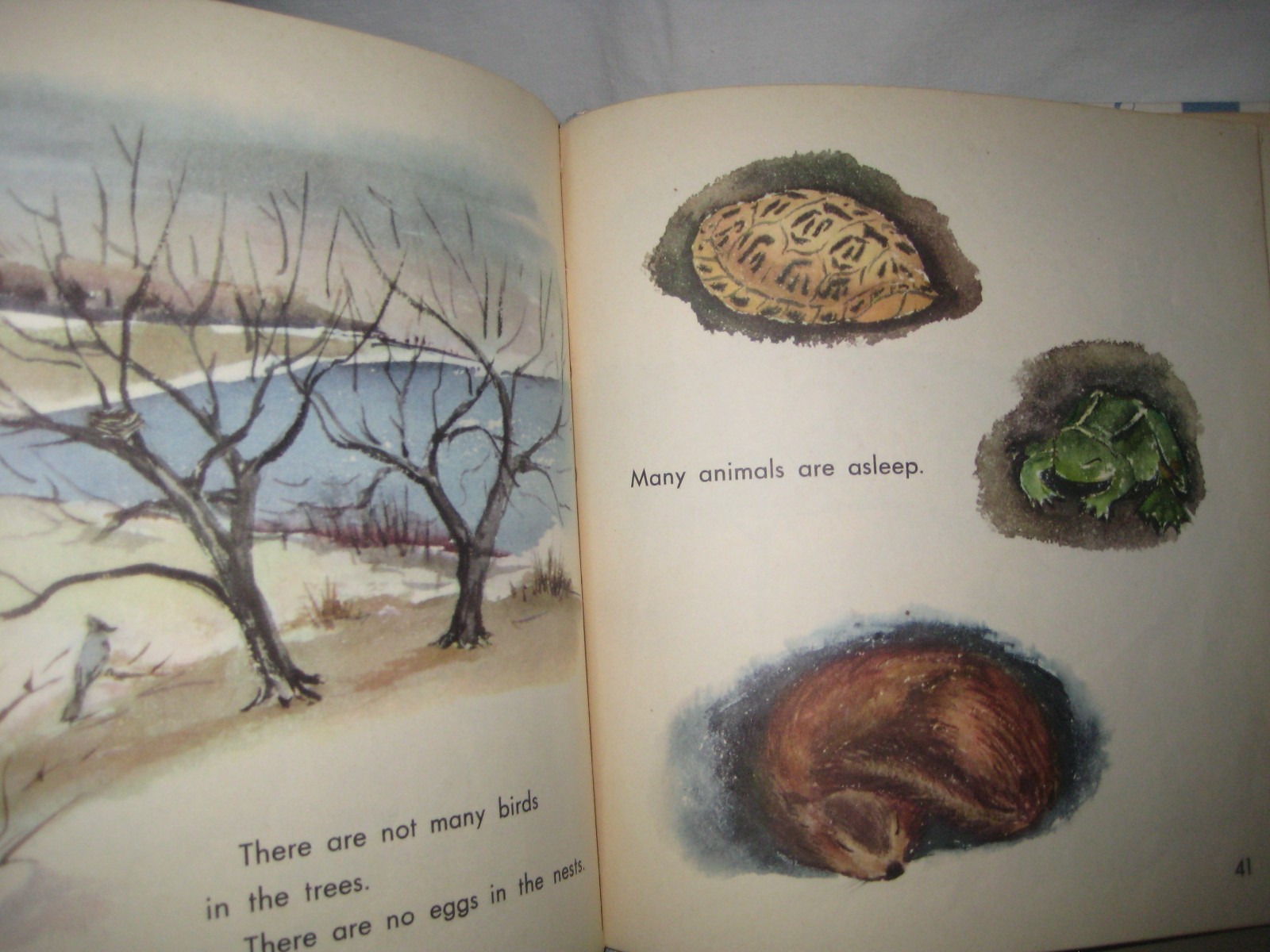 What is a Season/ Gene Darby/ Hawkinson/ Benefic press/1960