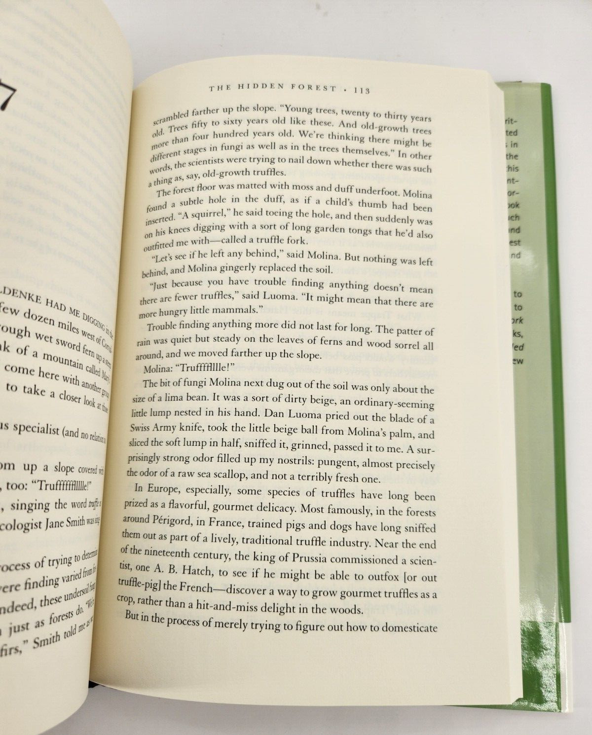 Hidden Forest : Biography of an Ecosystem by Luoma, Jon R. 1999 Hardcover