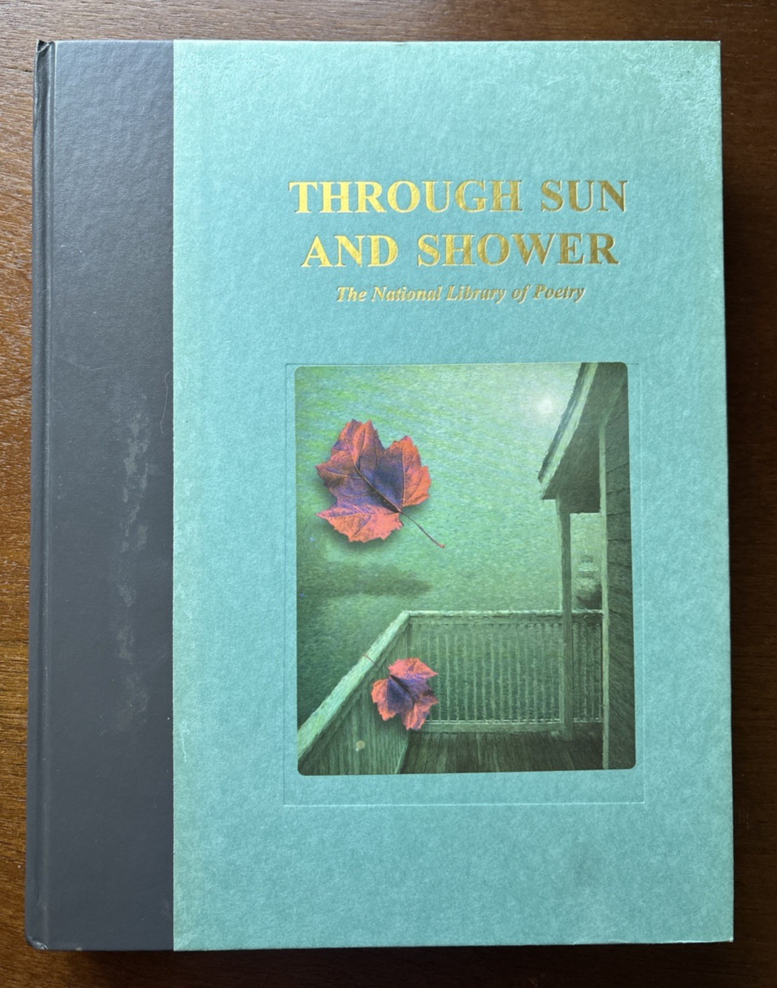 Through Sun and Shower 1997 The National Library of Poetry Chris Tyler, Editor