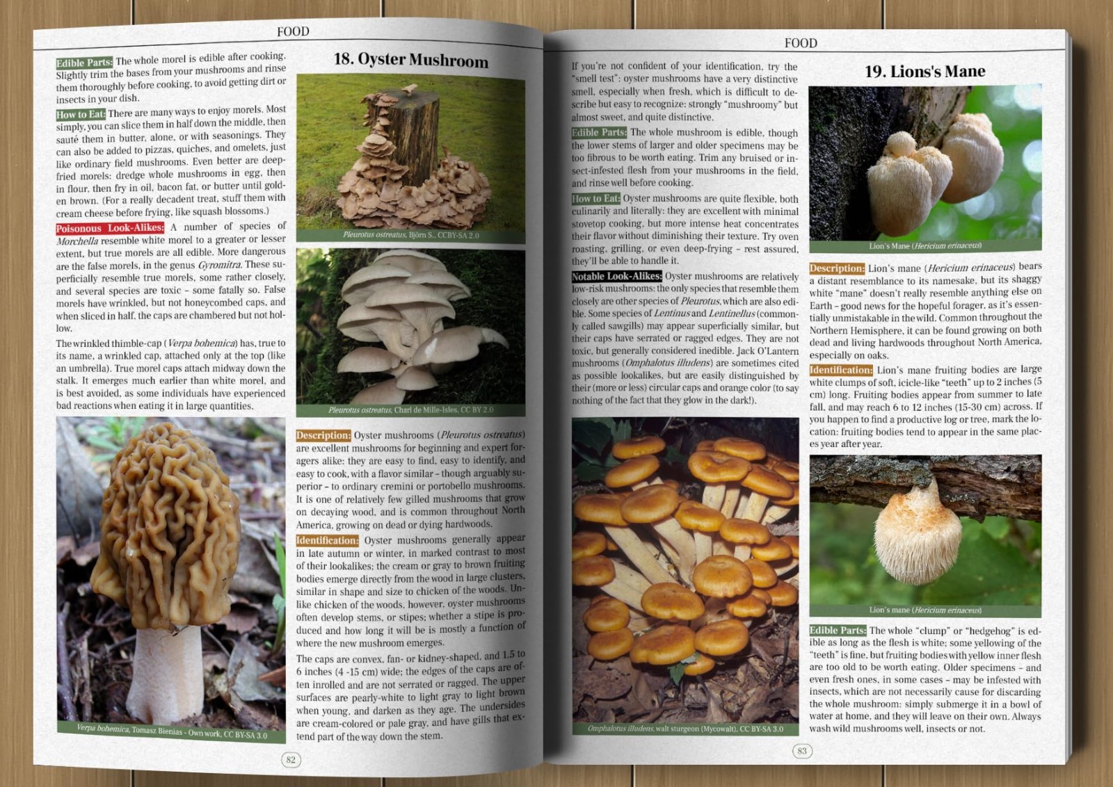 Wilderness Long-Term Survival Guide: Forgotten Skills to Make the Wild Your Home