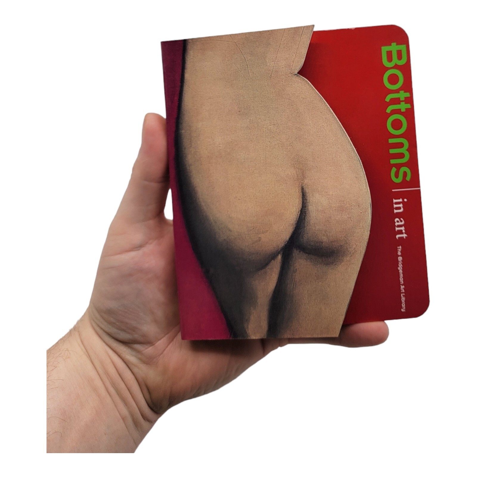 Wholesale Lot of 7 The Body in Art Bottoms Book Bum Butt Buttox Book
