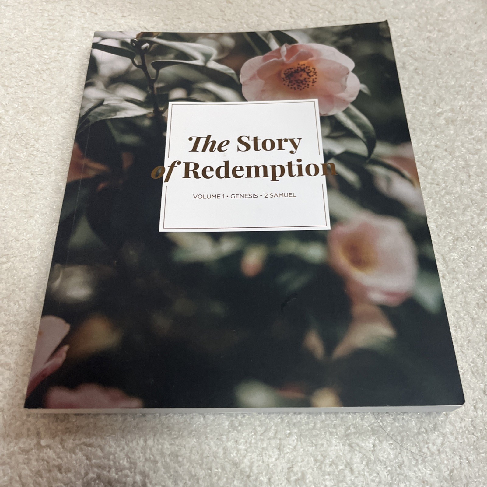 Lot 10 The Daily Grace Co Bible Study Guides New Testament Story Of Redemption