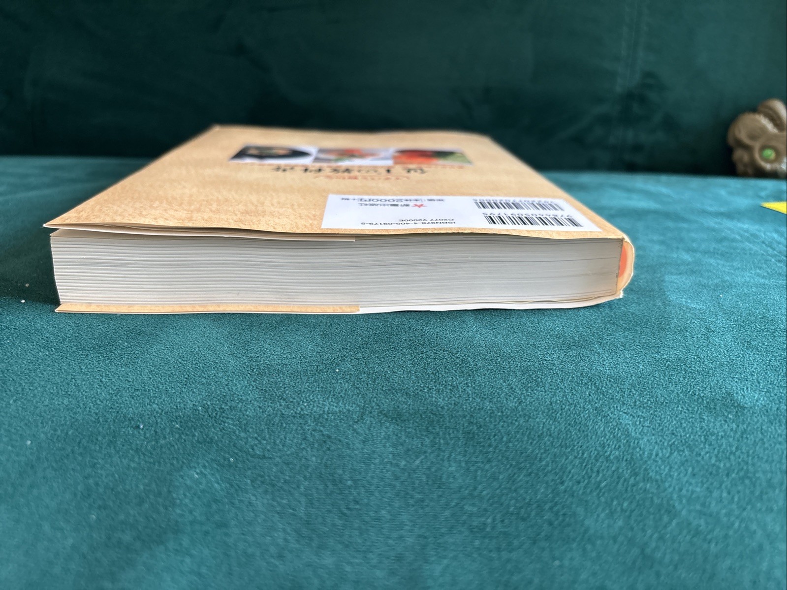 The Most Helpful Kitchen Knife Textbook – Japanese Cuisine – 141 Recipes – Japan