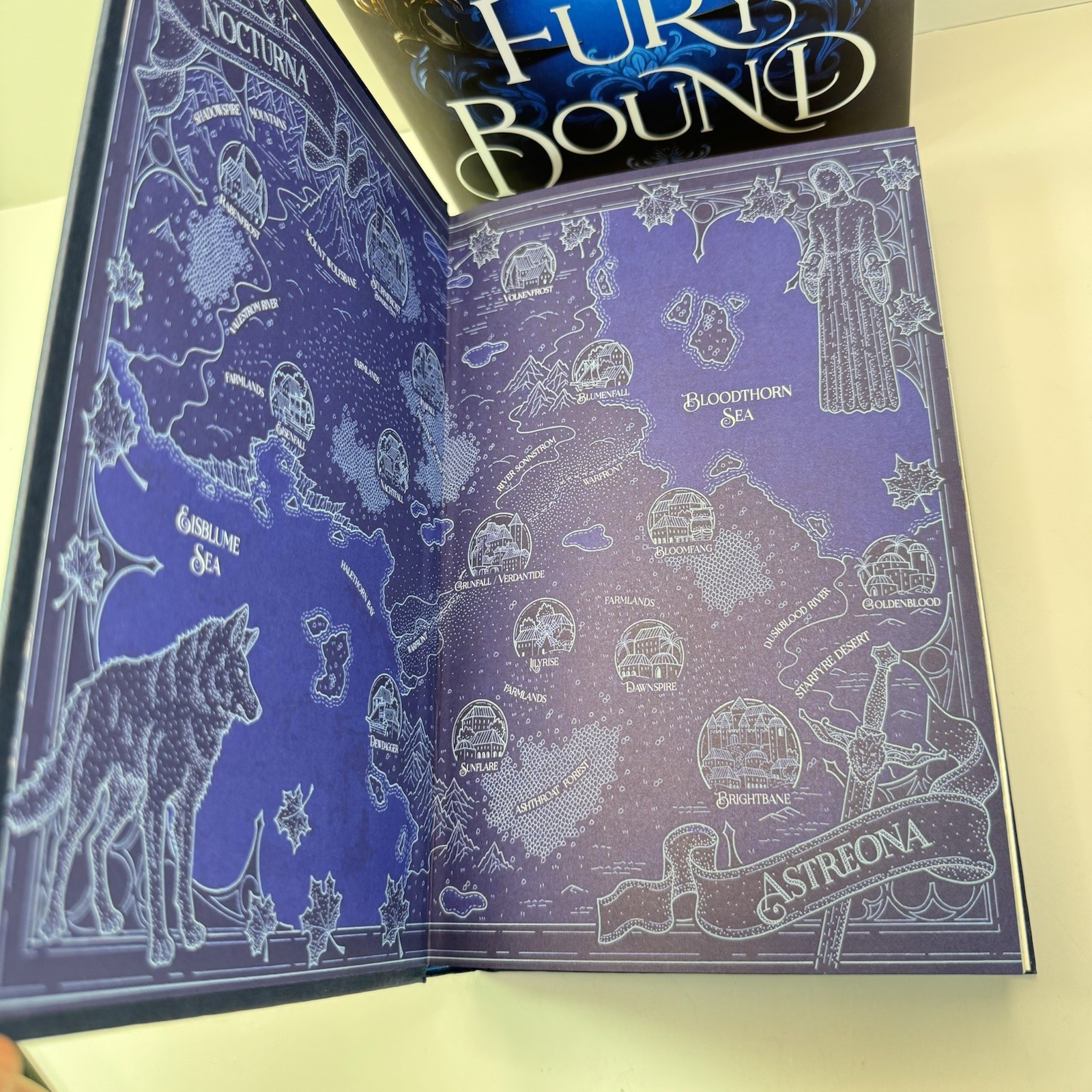 Fury Bound Sable Sorensen Waterstones Deluxe Ed. Alt Dust Jacket HAND SIGNED New